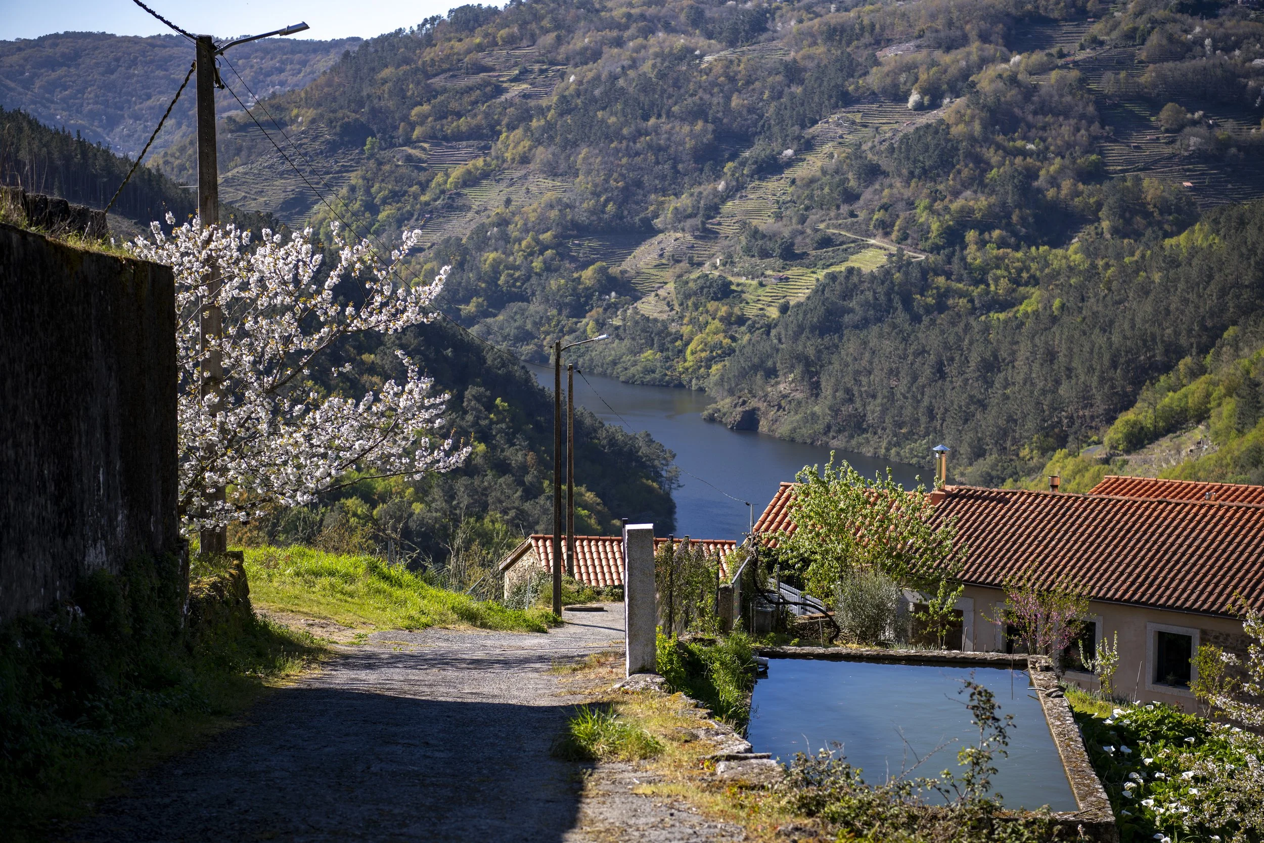 _DSC9652.jpg