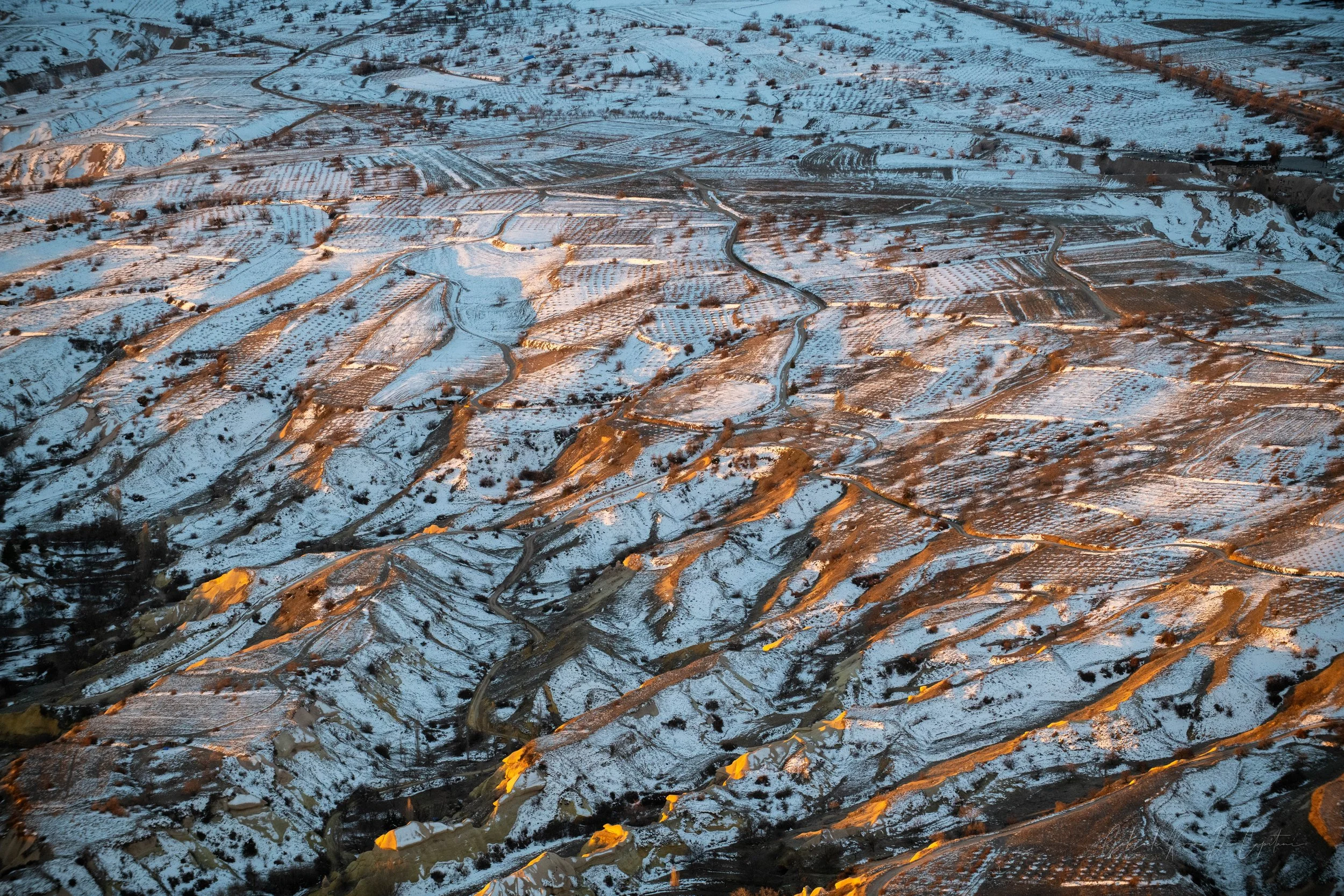 _DSC8559.jpg