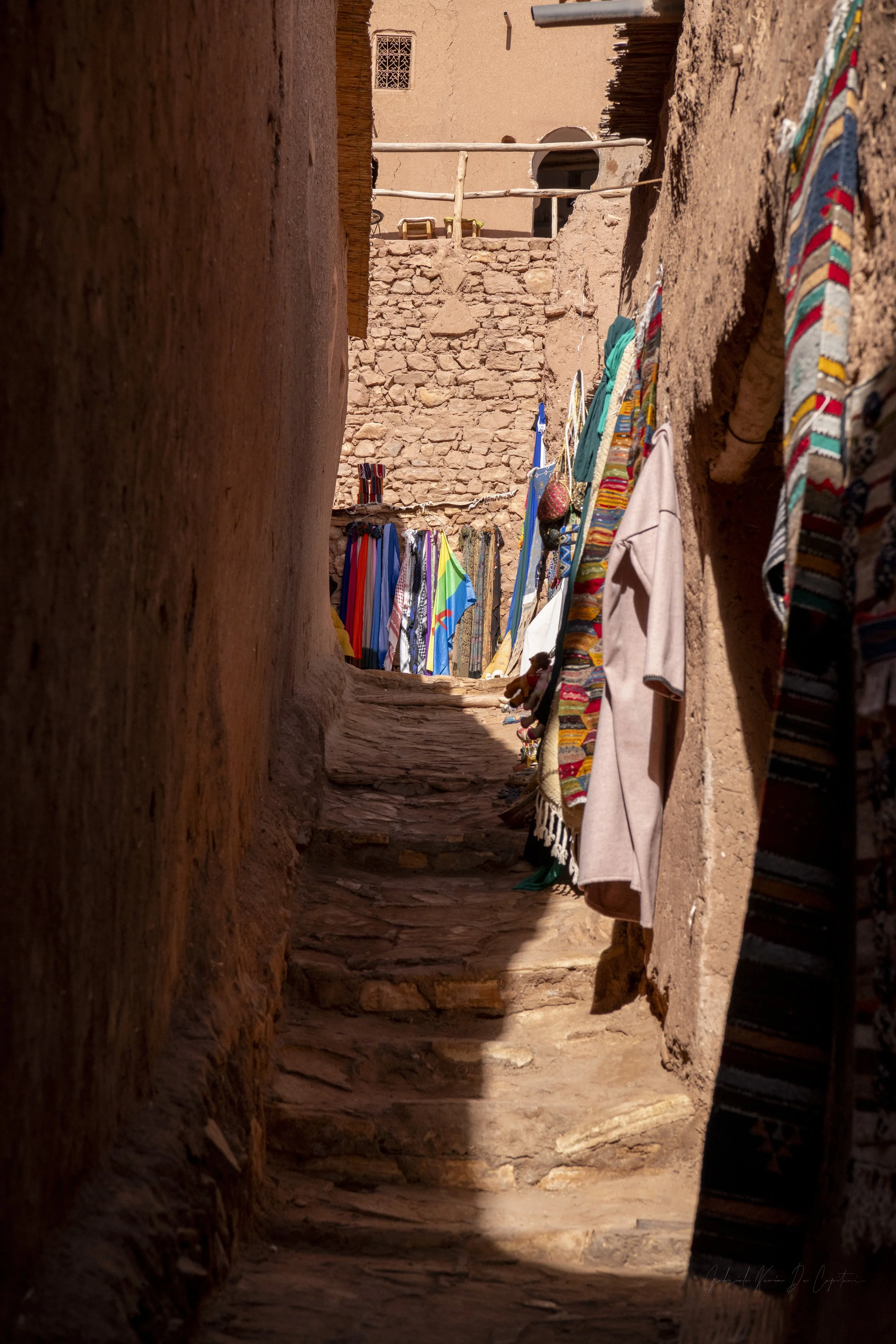Untitled-19.jpg
