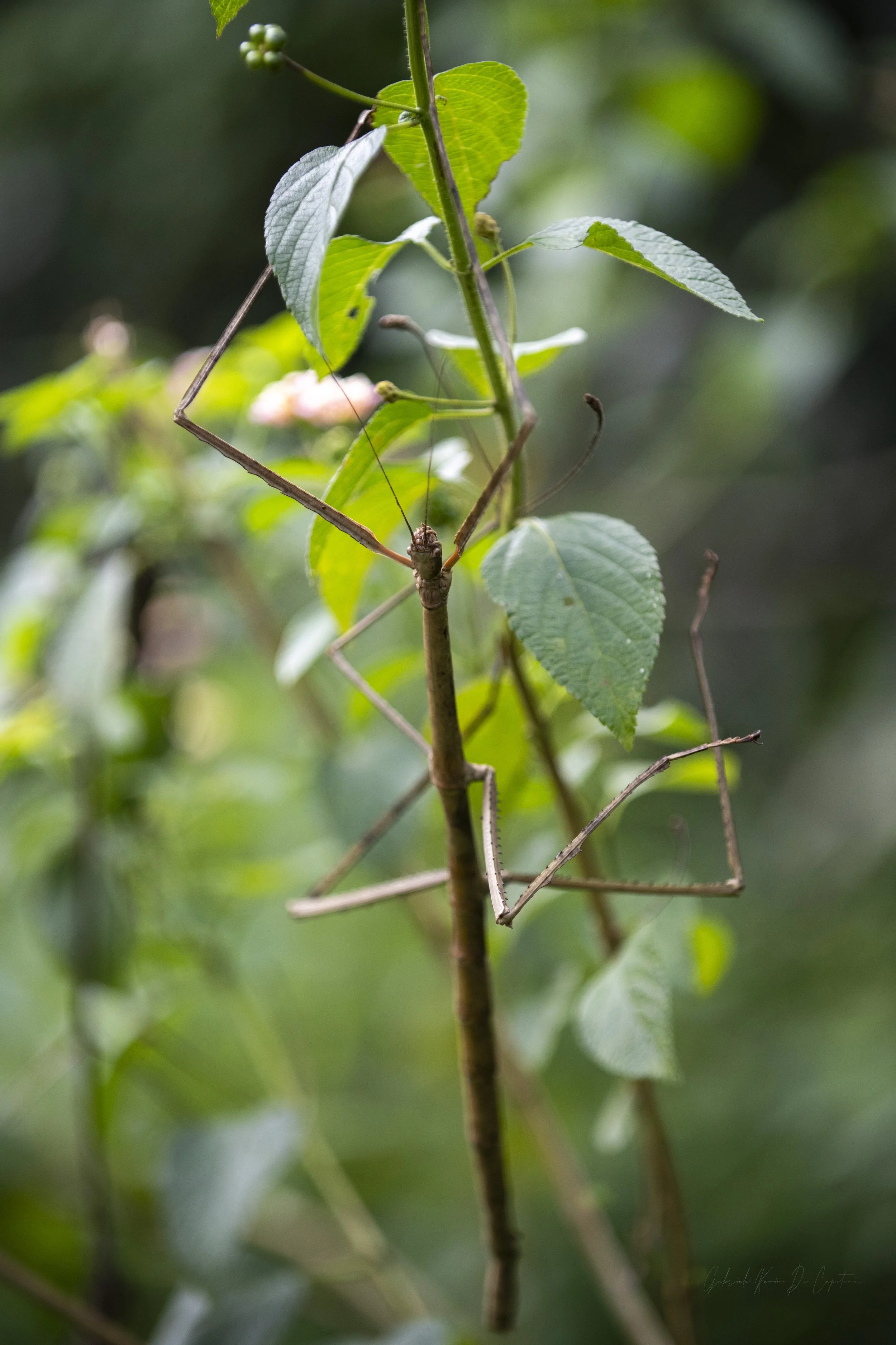 Untitled-105.jpg