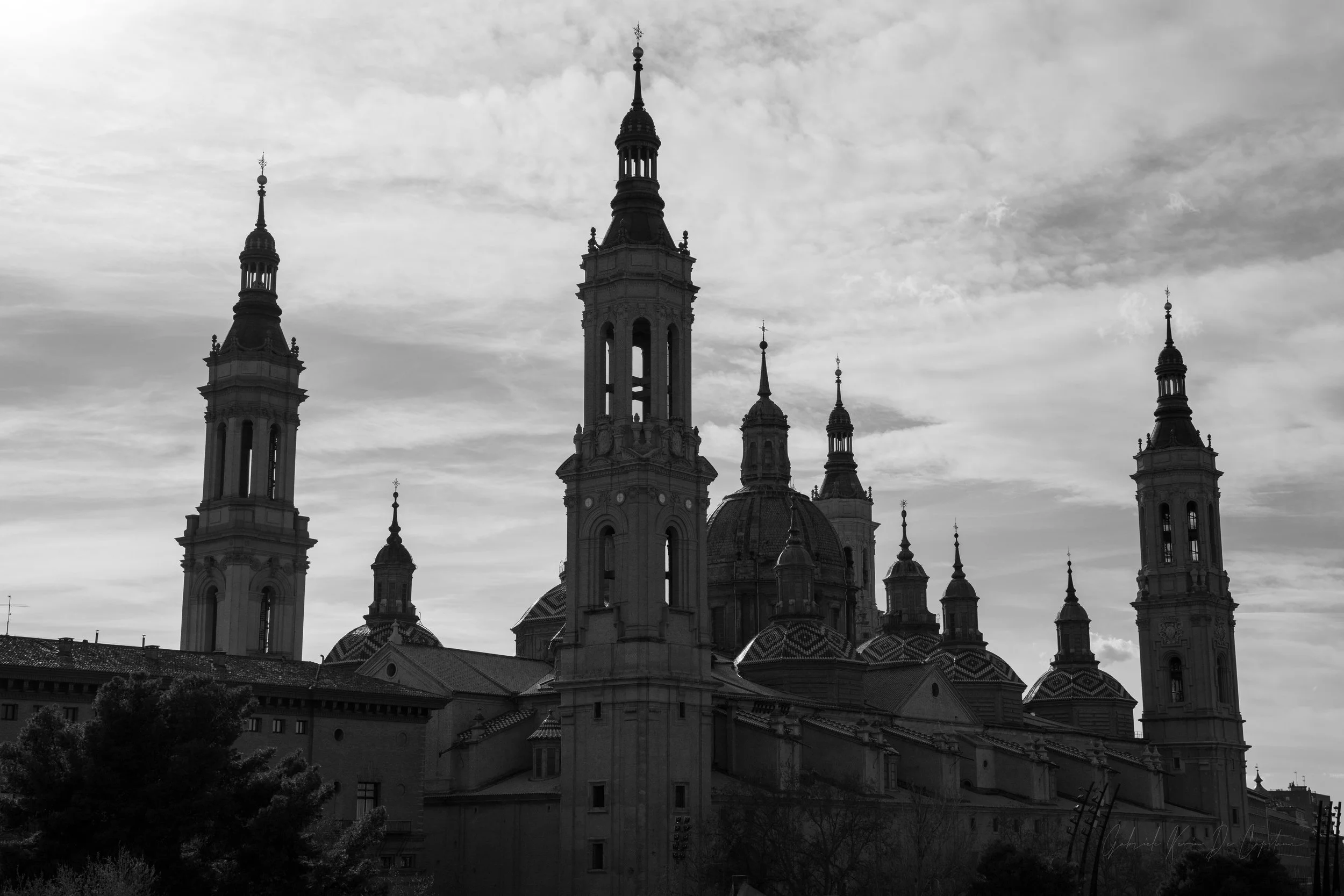 _DSC9116.jpg