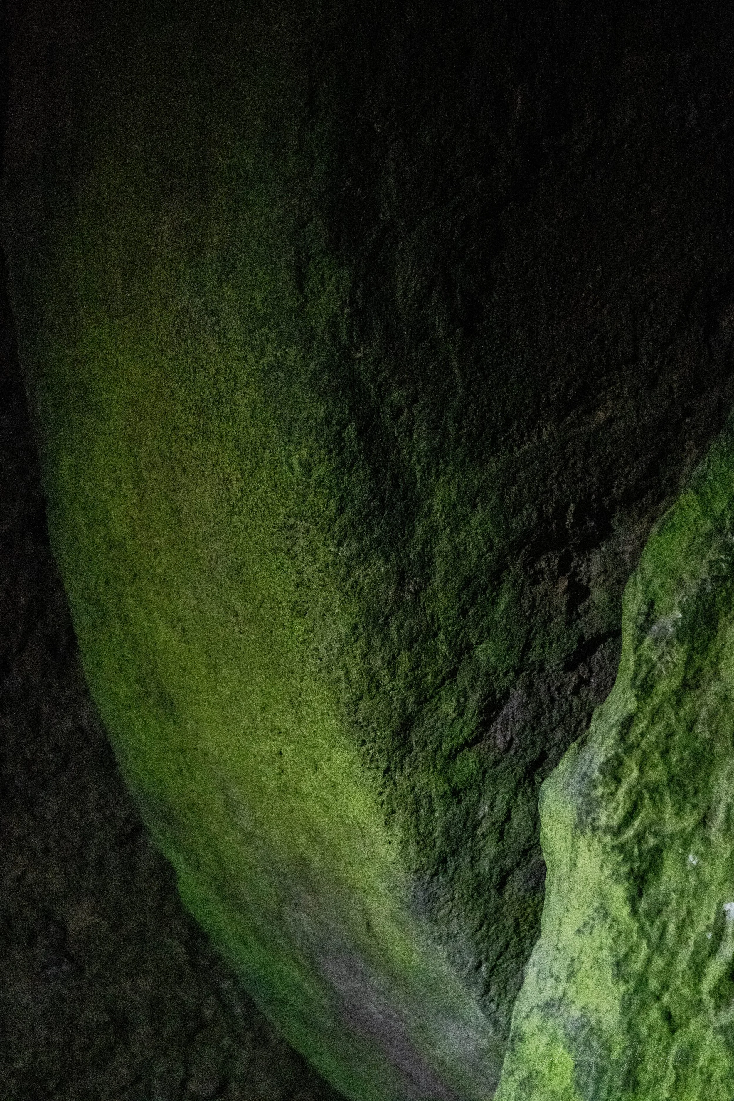 _DSC8271.jpg