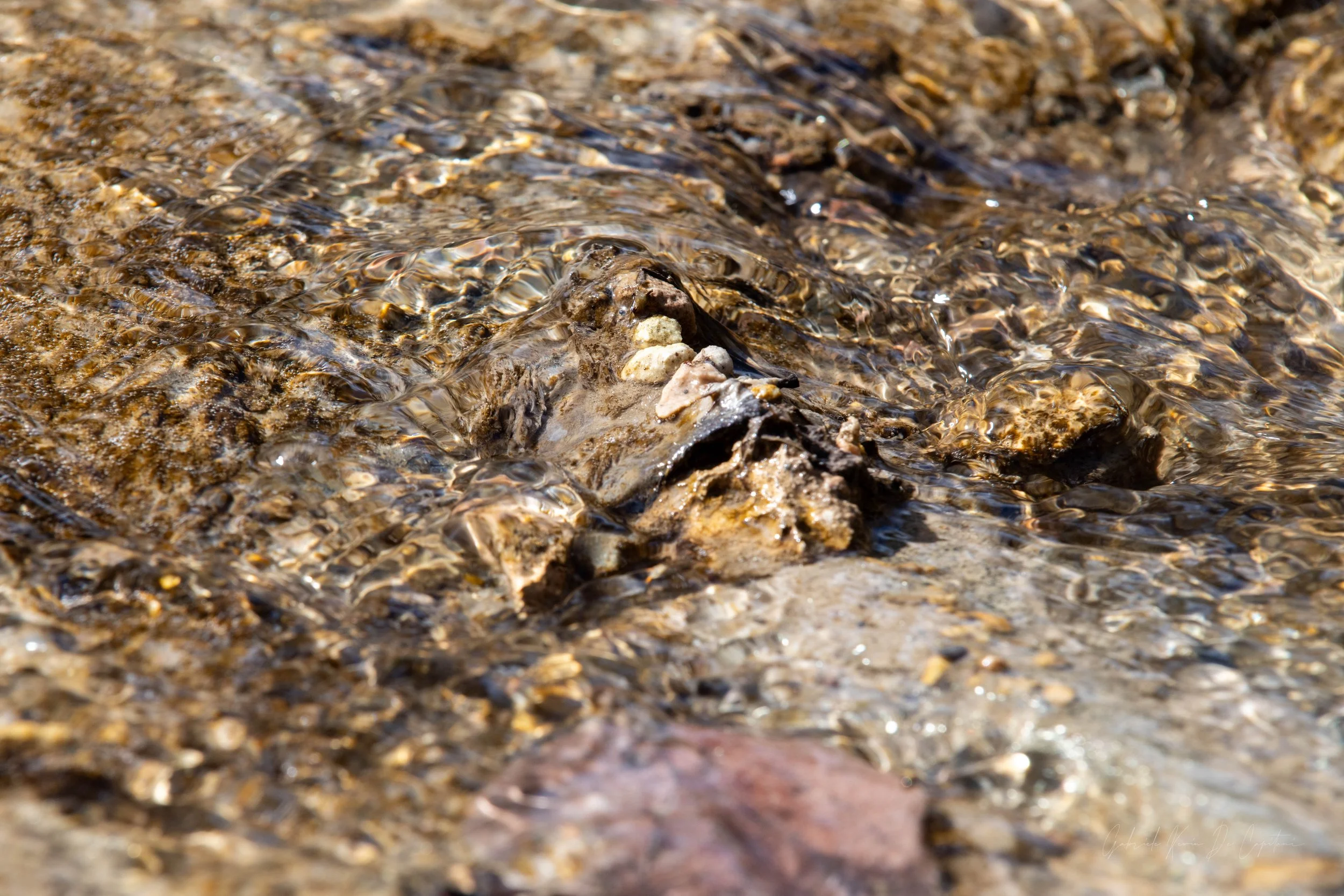 _DSC8636.jpg