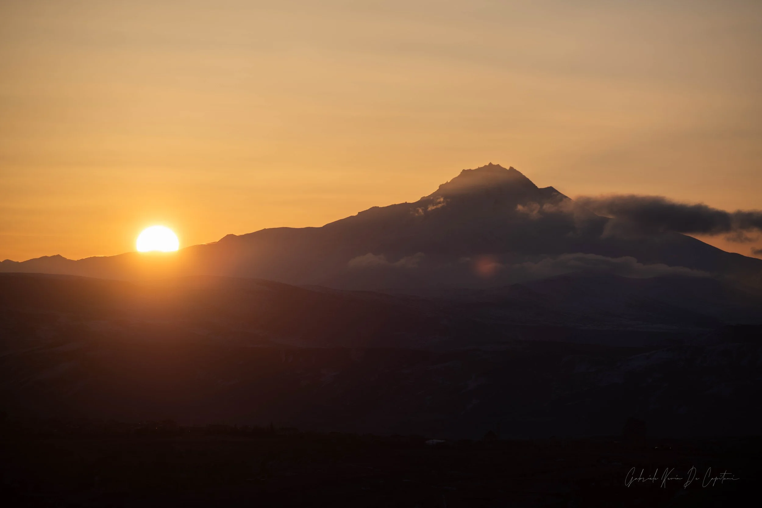 _DSC8825.jpg