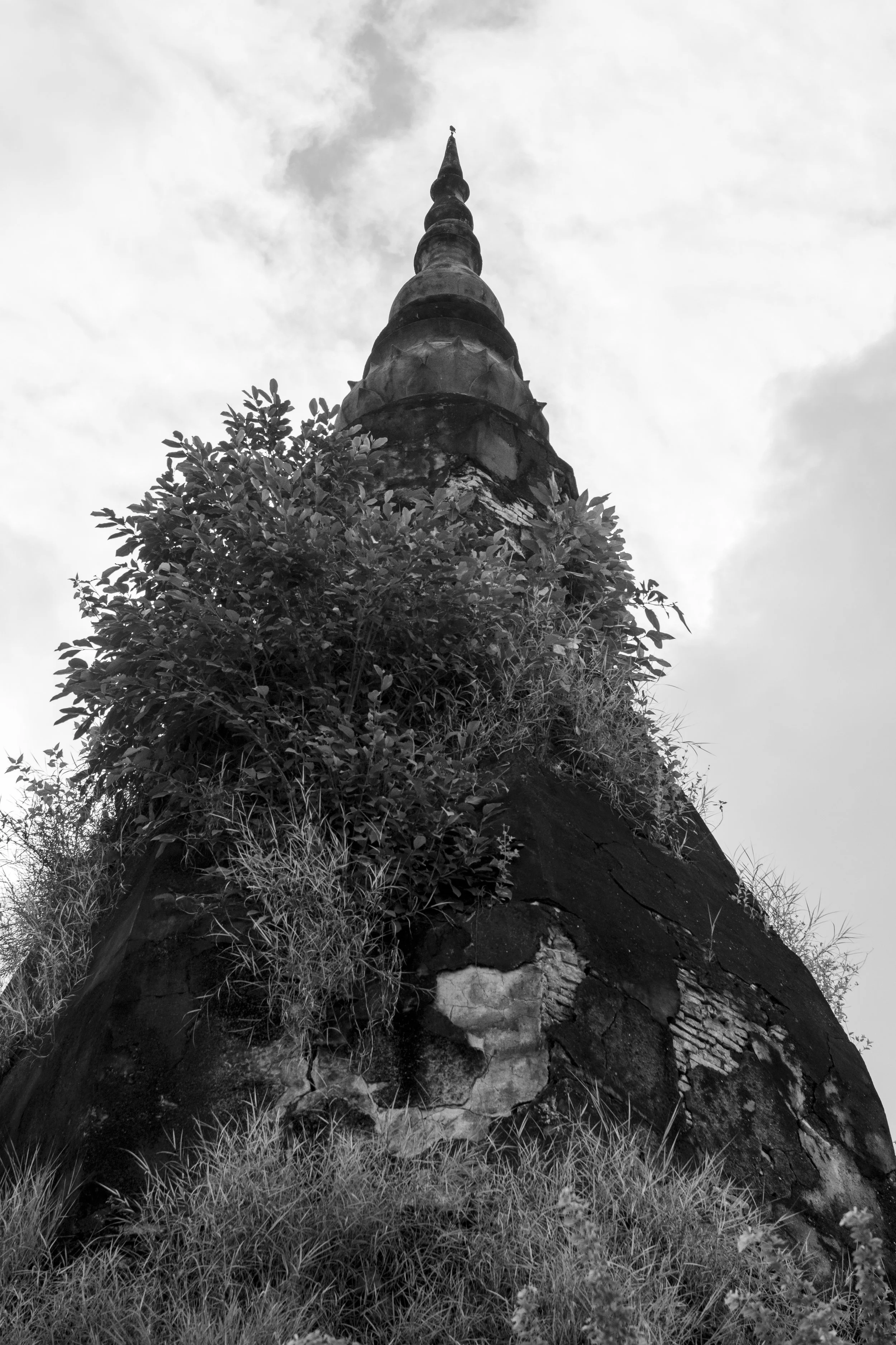 Untitled-103.jpg