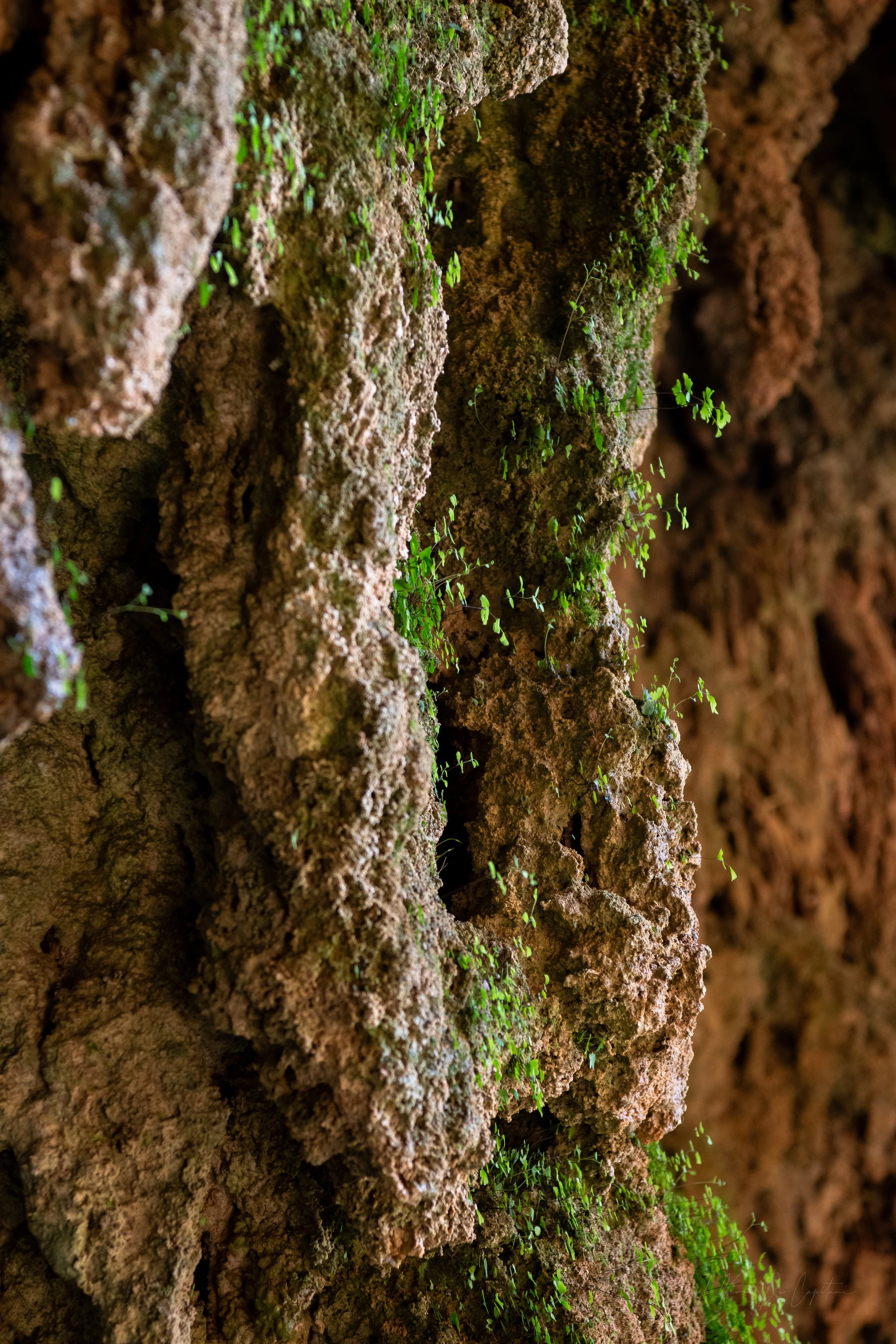 _DSC9287.jpg