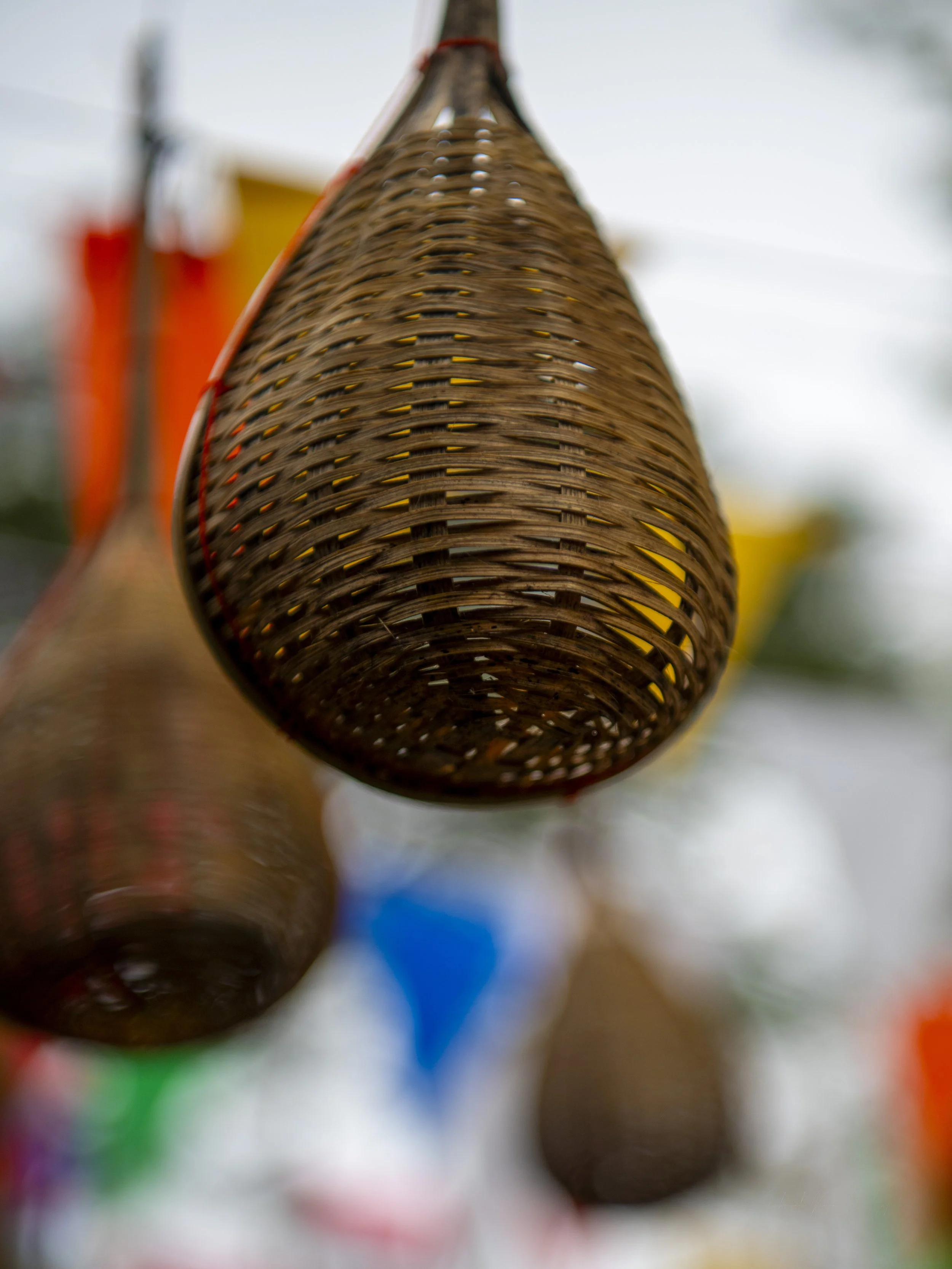 DSC_2875.jpg