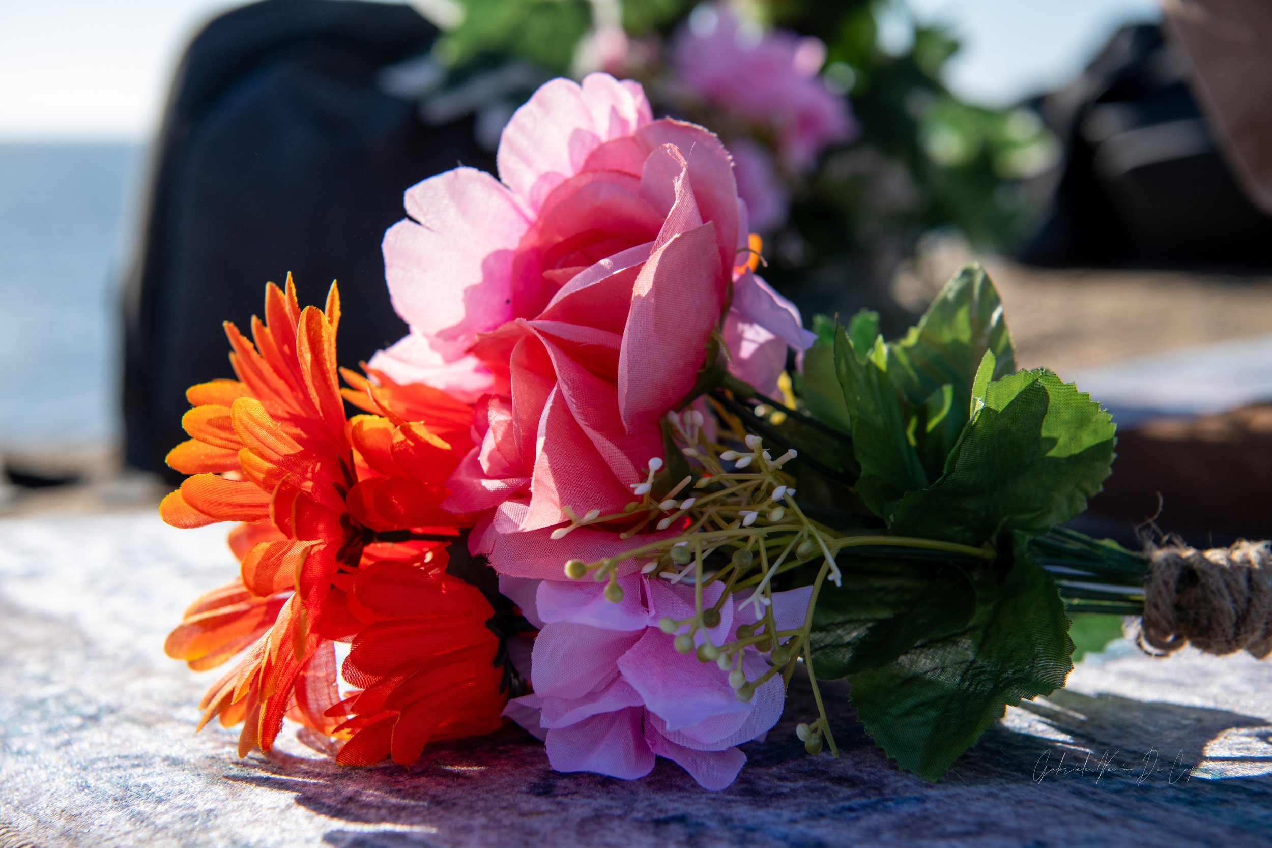 DSC_5585.jpg