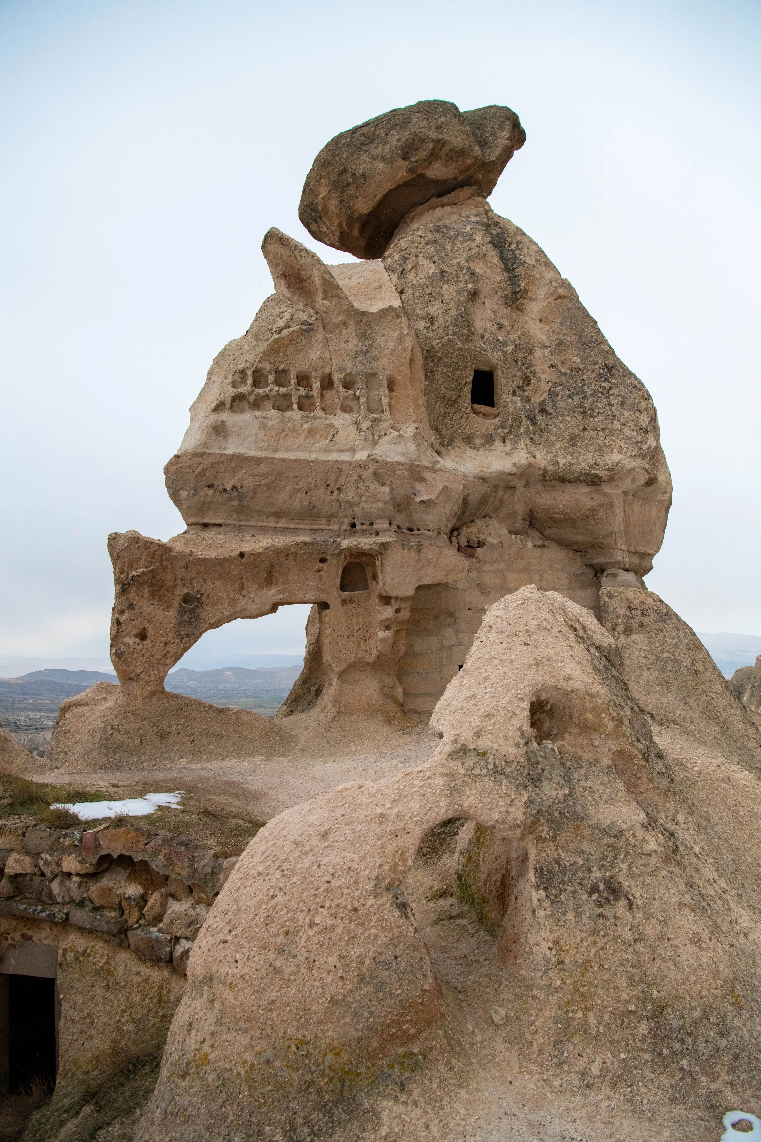 _DSC8178.jpg