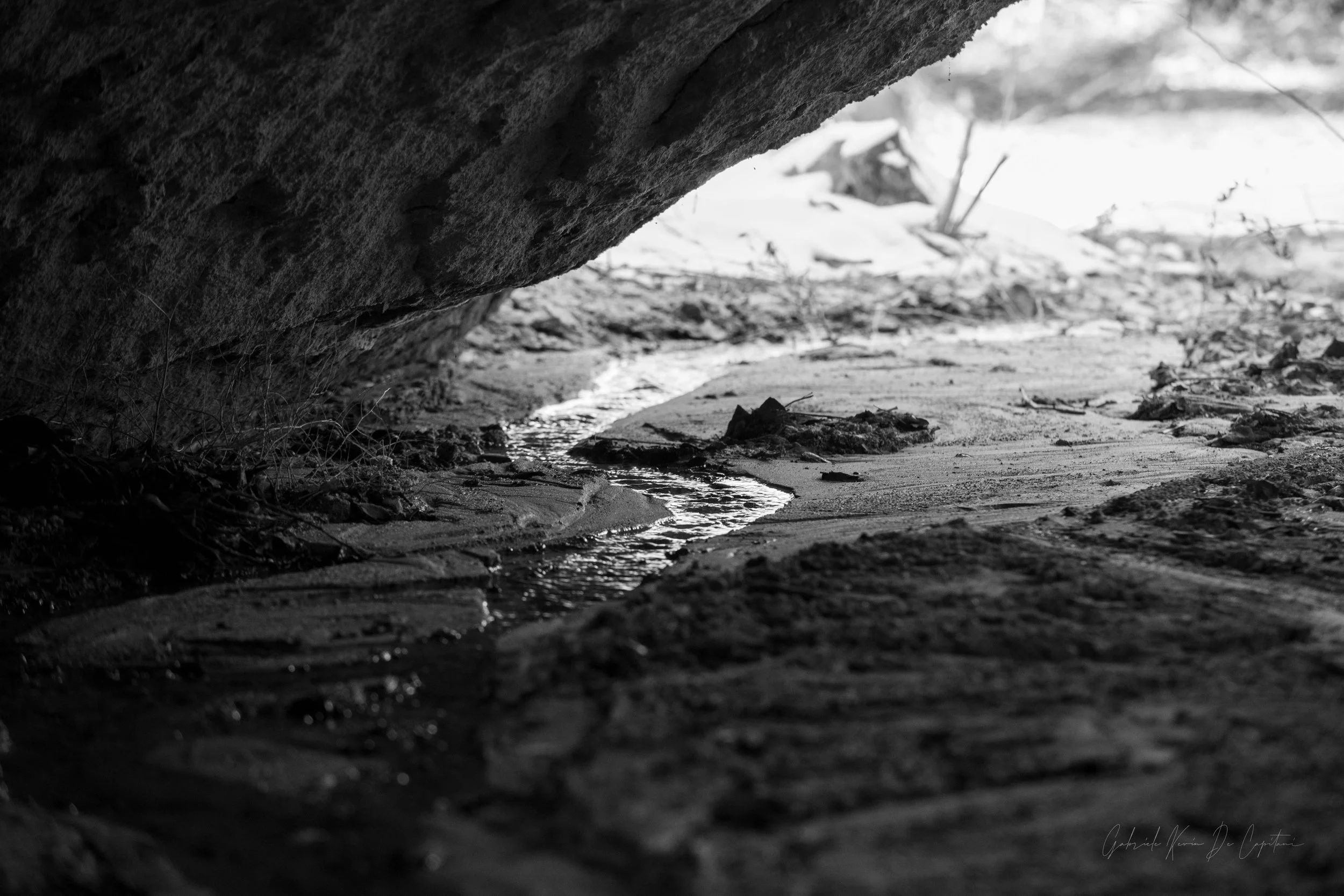 _DSC8694.jpg