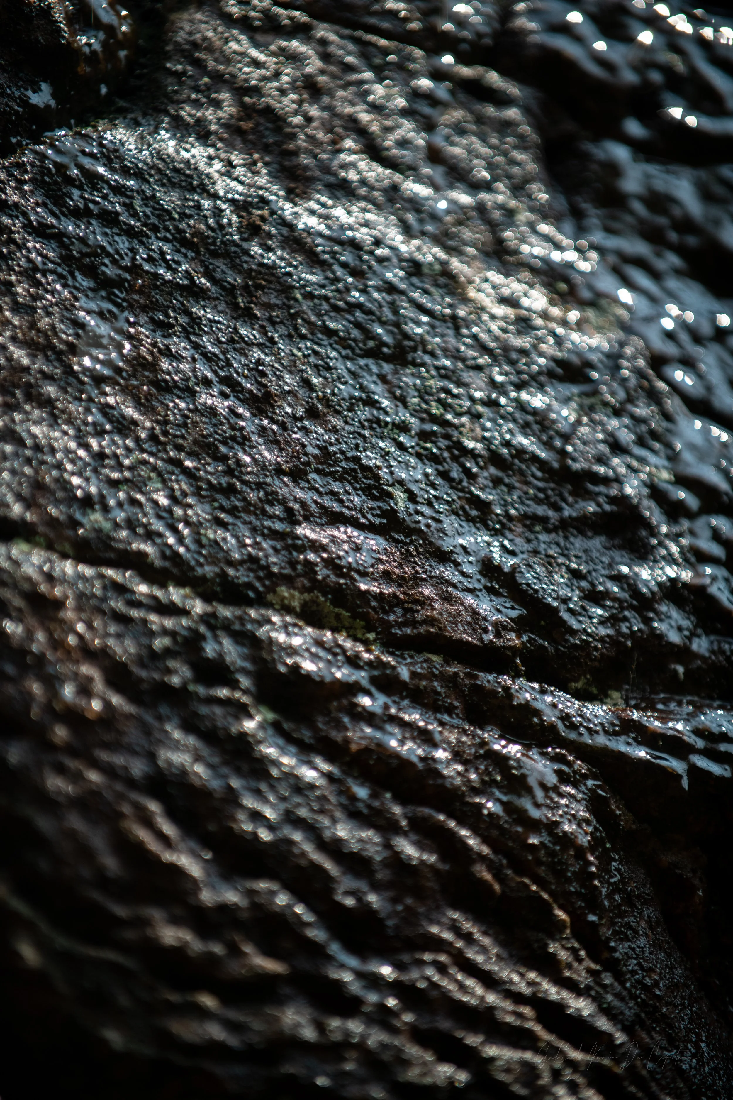 _DSC0275.jpg