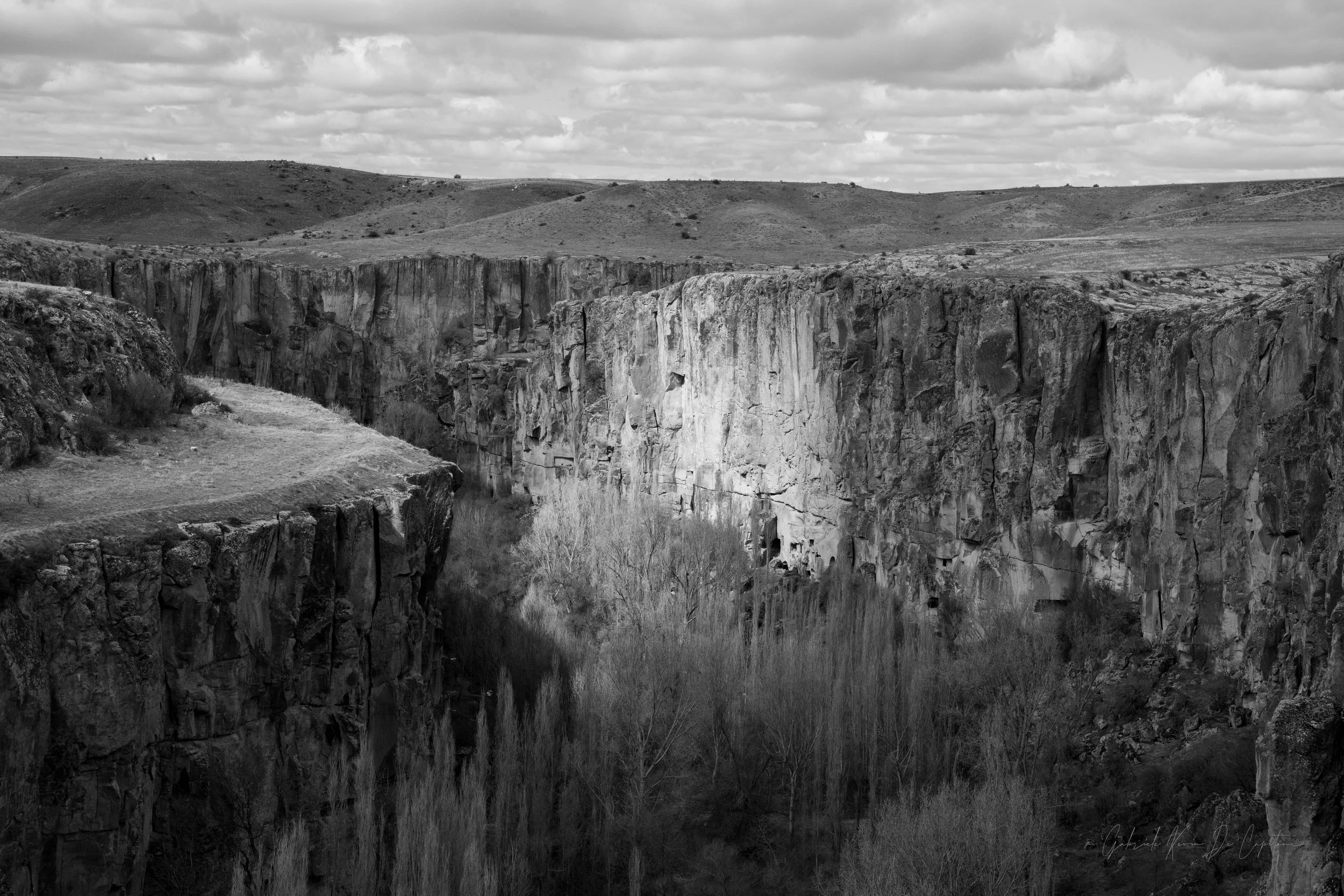 _DSC8285.jpg