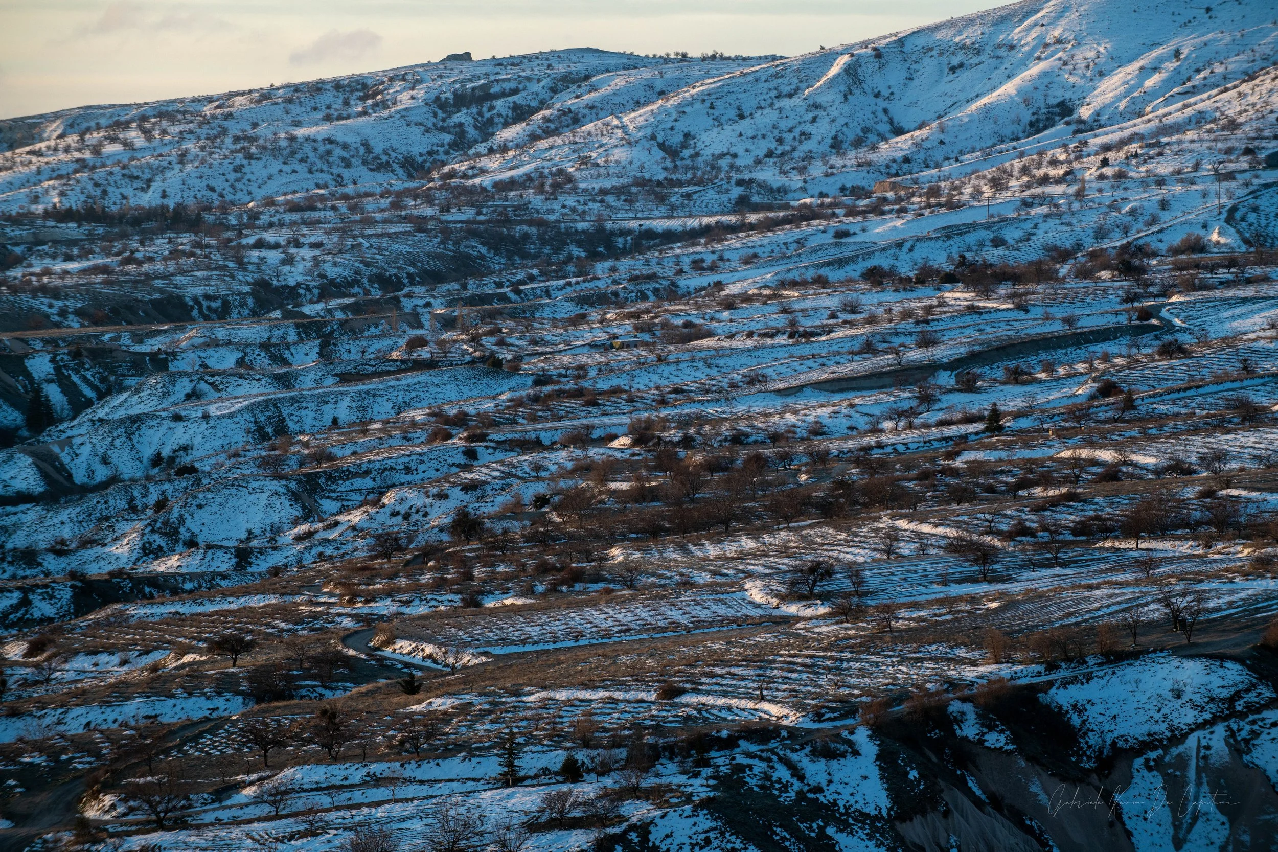 _DSC8842.jpg