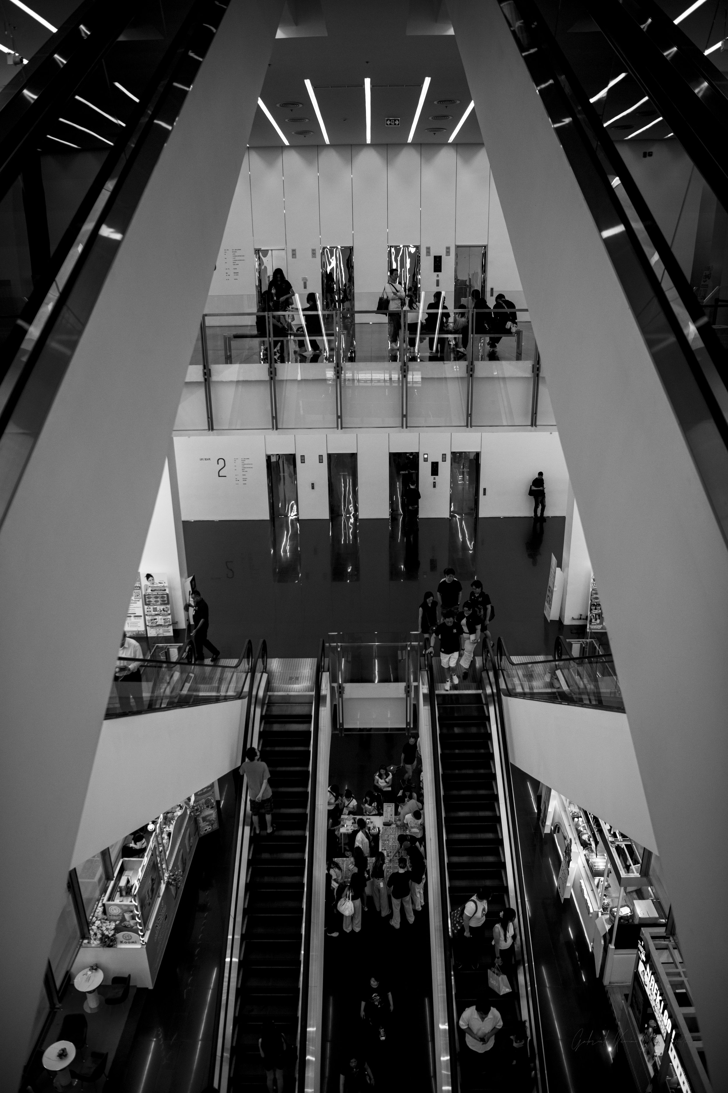 DSC_2989.jpg