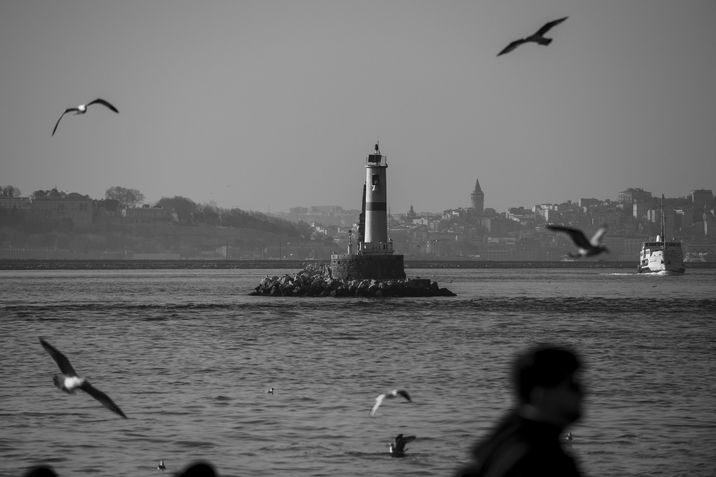 Untitled-60.jpg