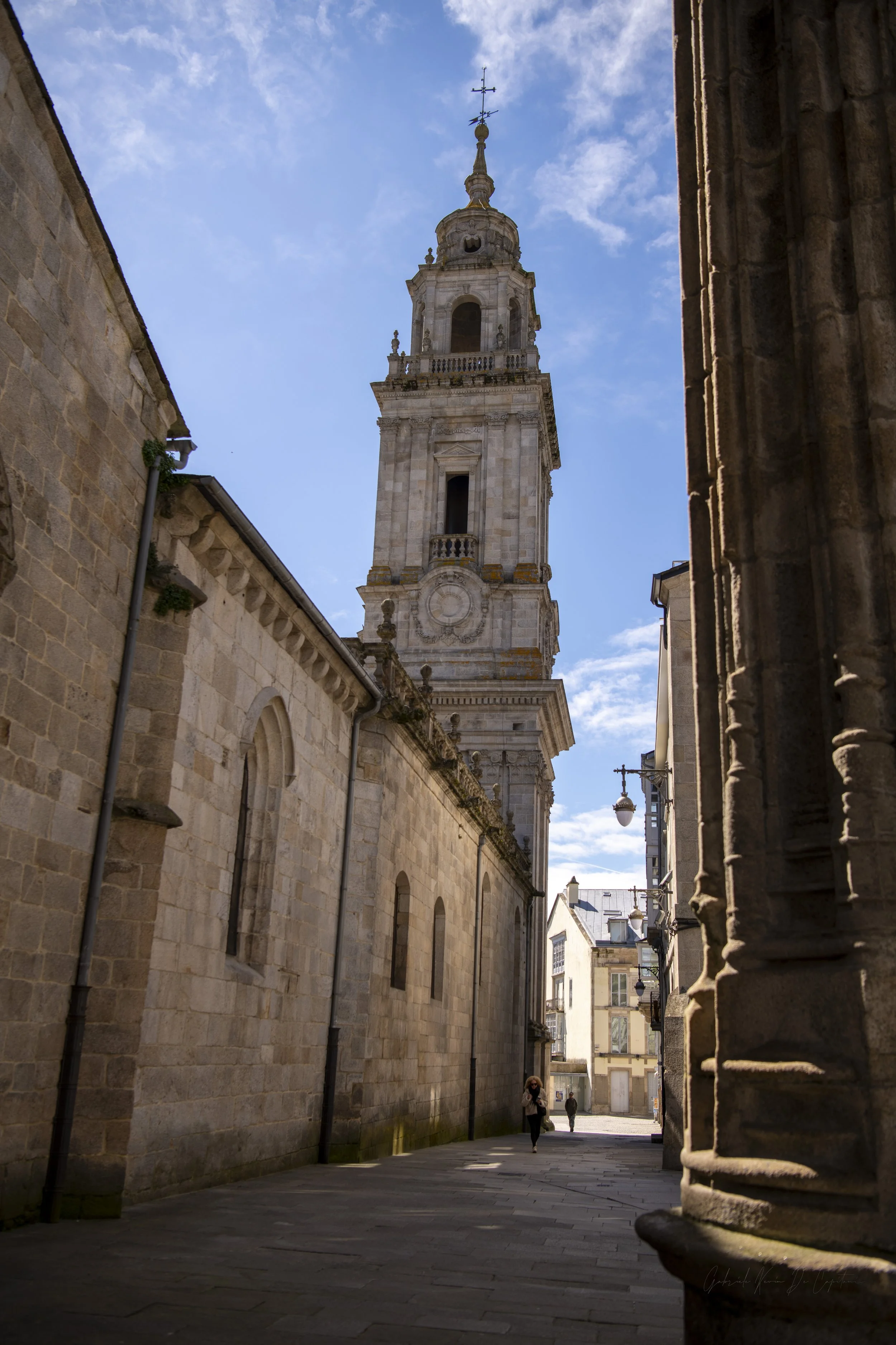 _DSC9663.jpg