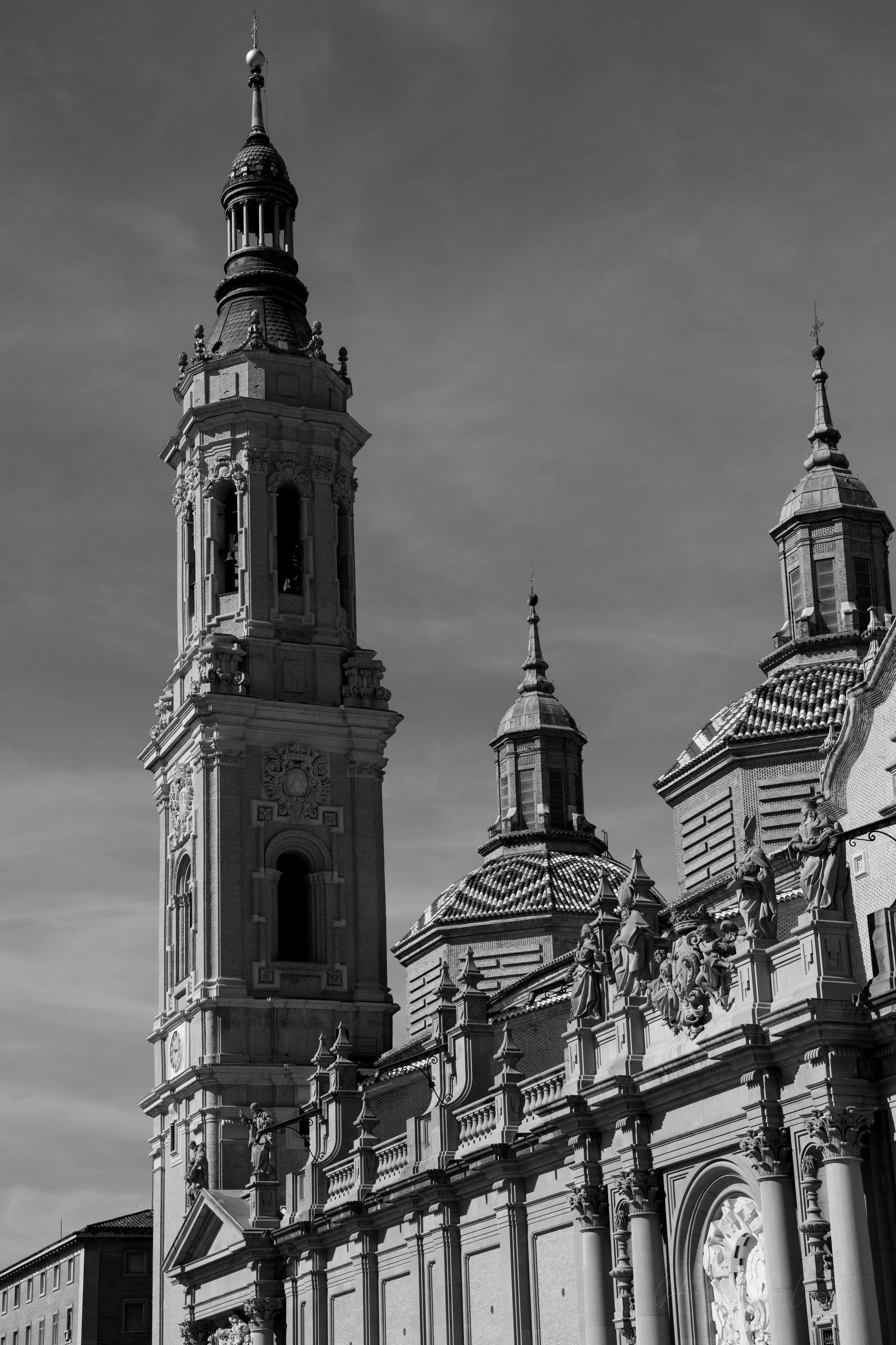 _DSC9099.jpg