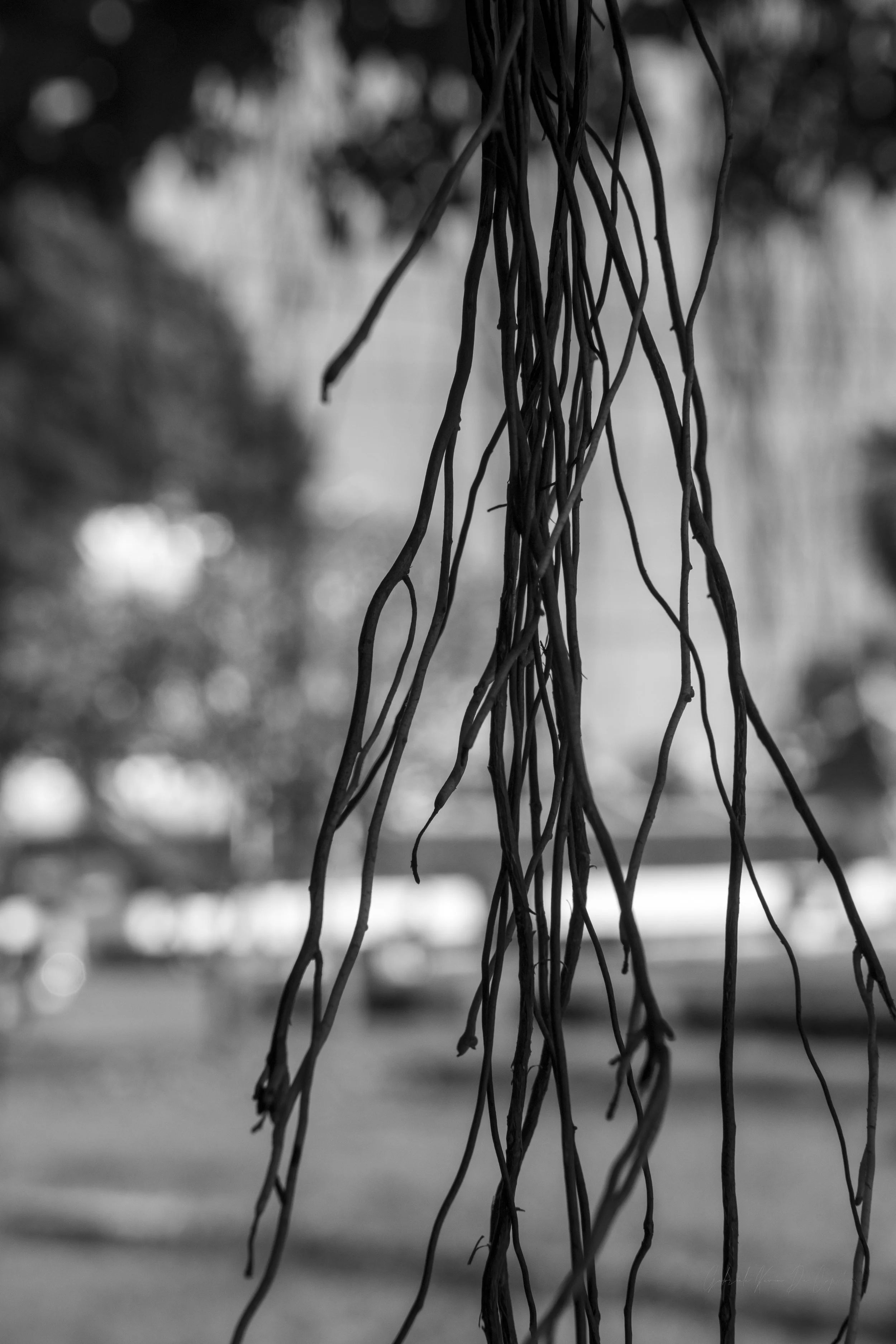 Untitled-86.jpg