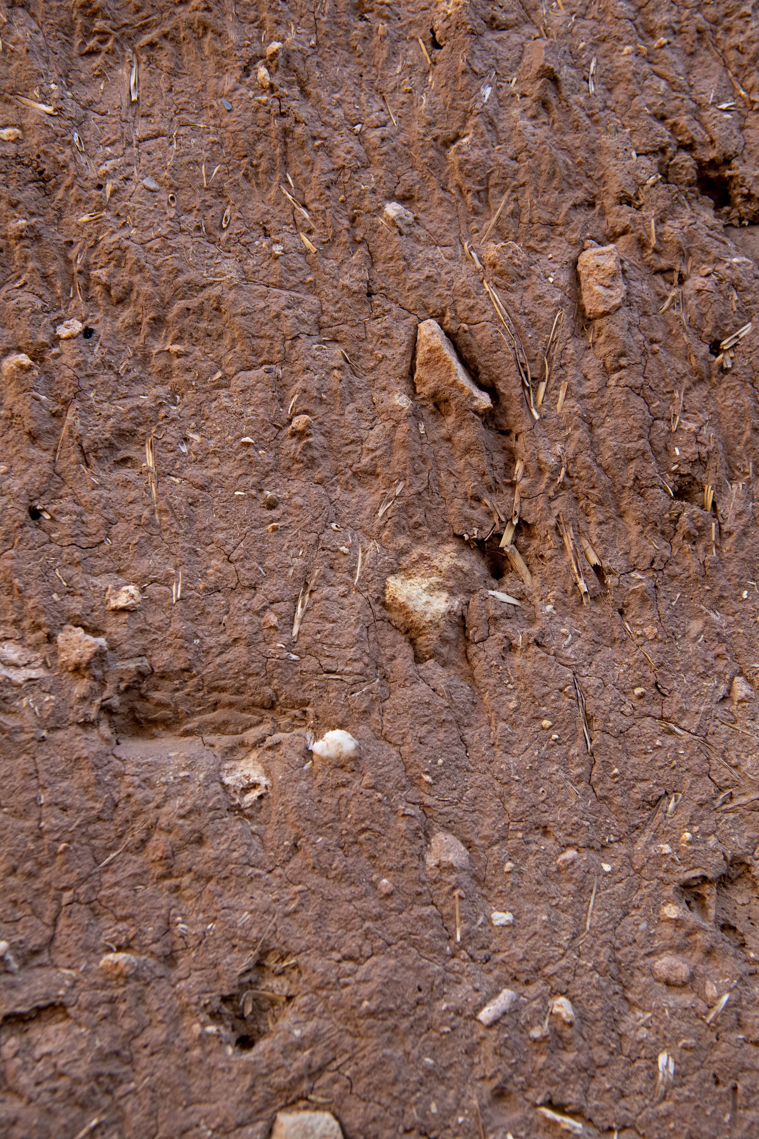 Untitled-16.jpg