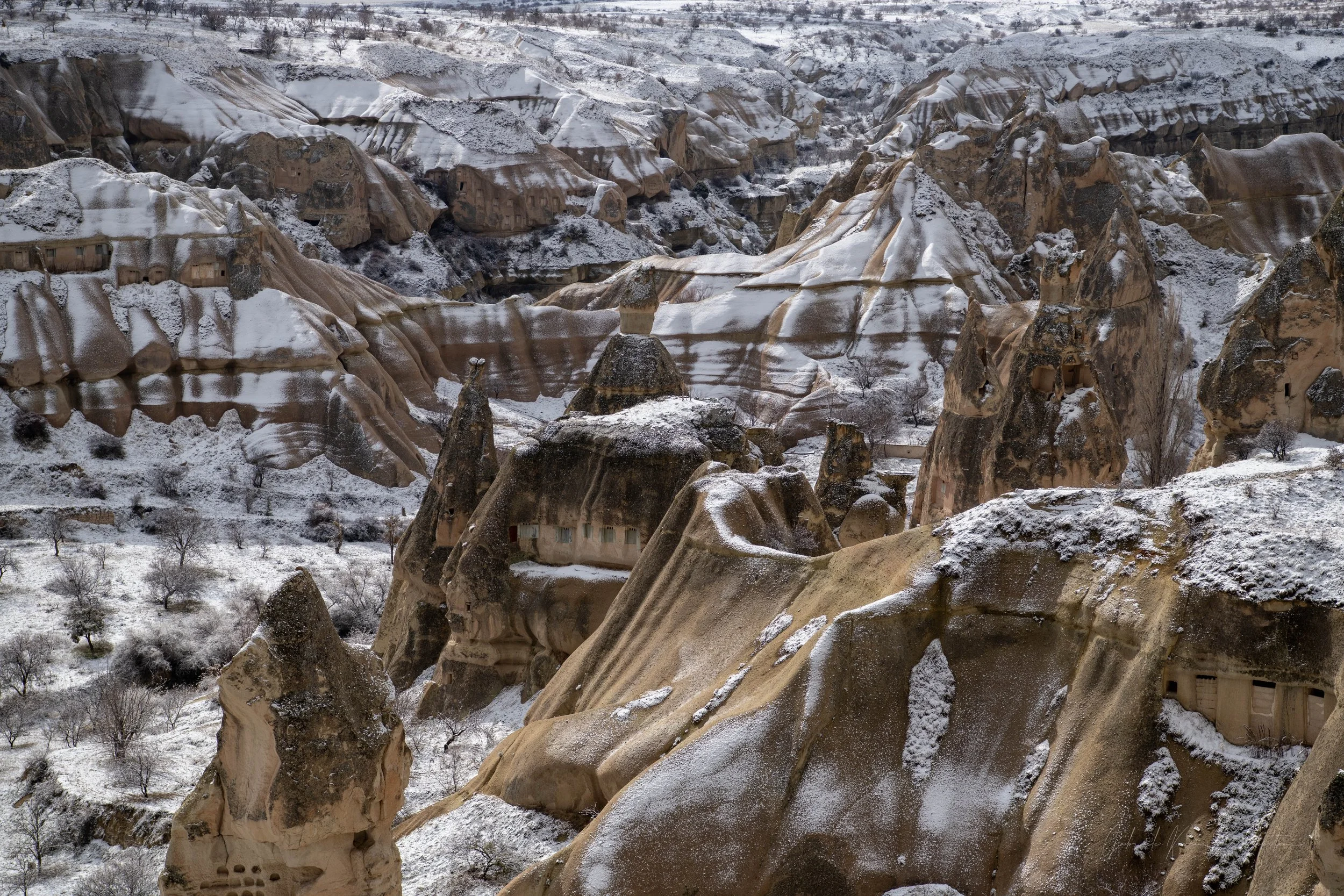 _DSC8202.jpg