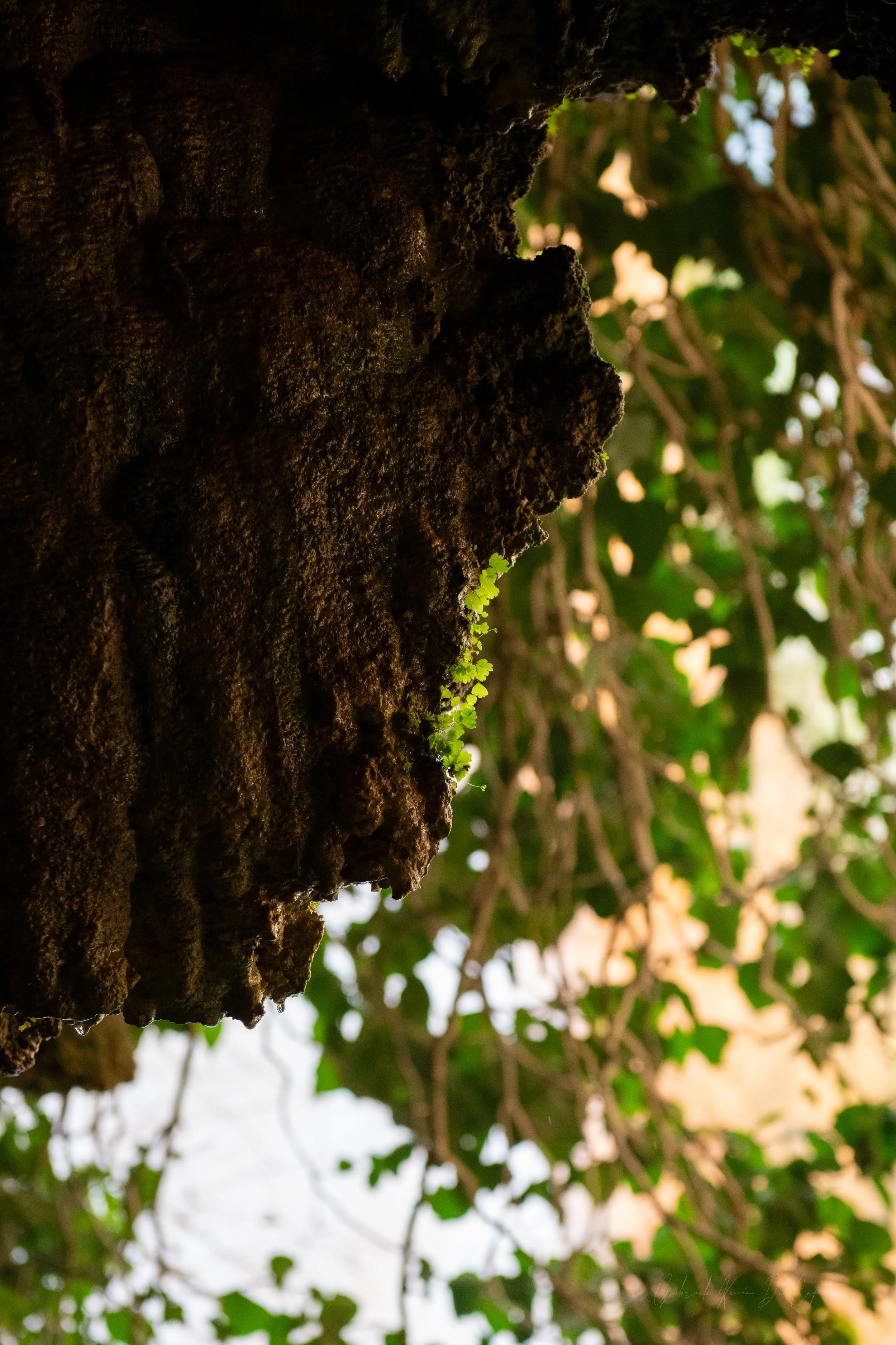_DSC9273.jpg