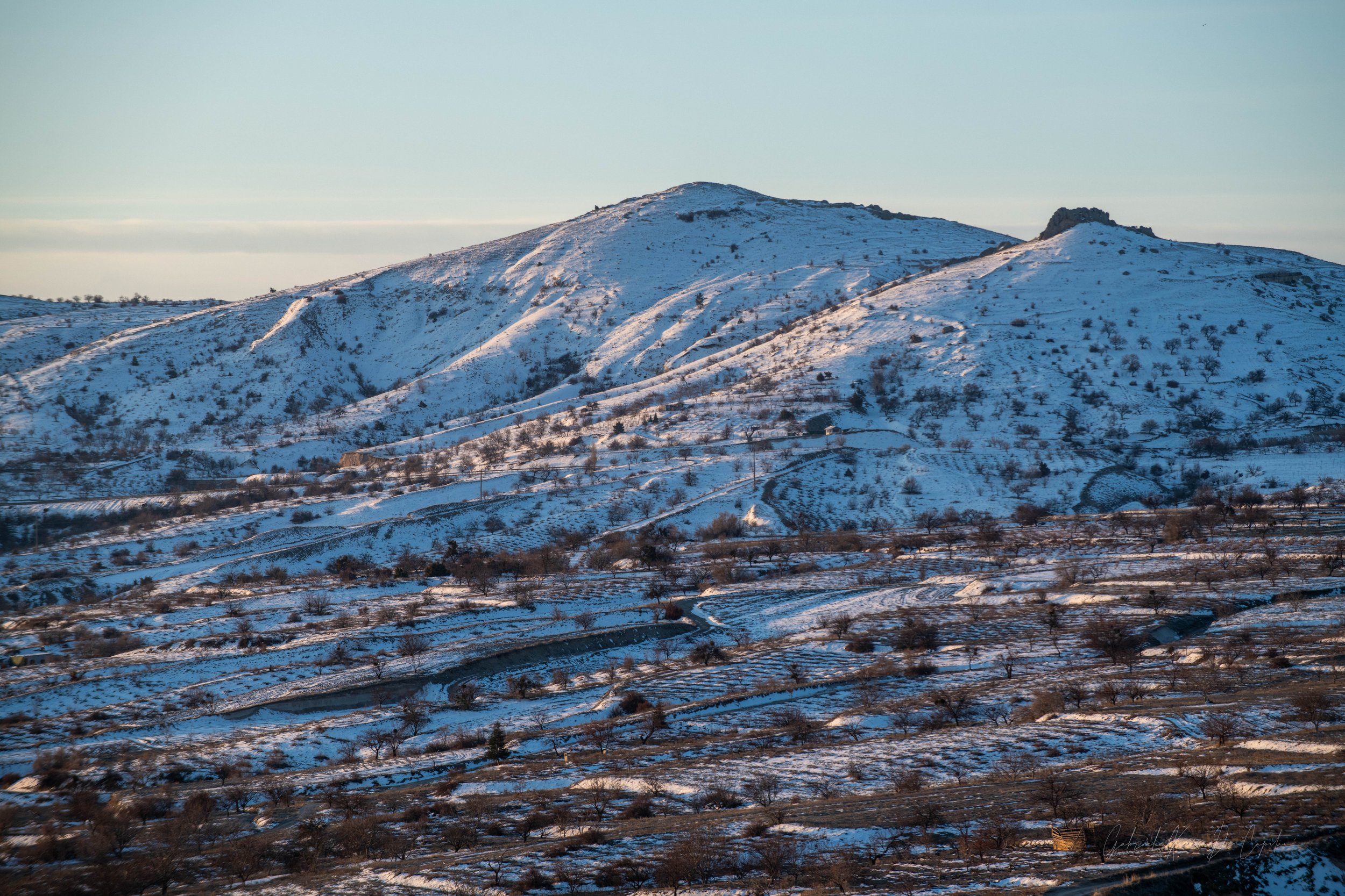 _DSC8856.jpg