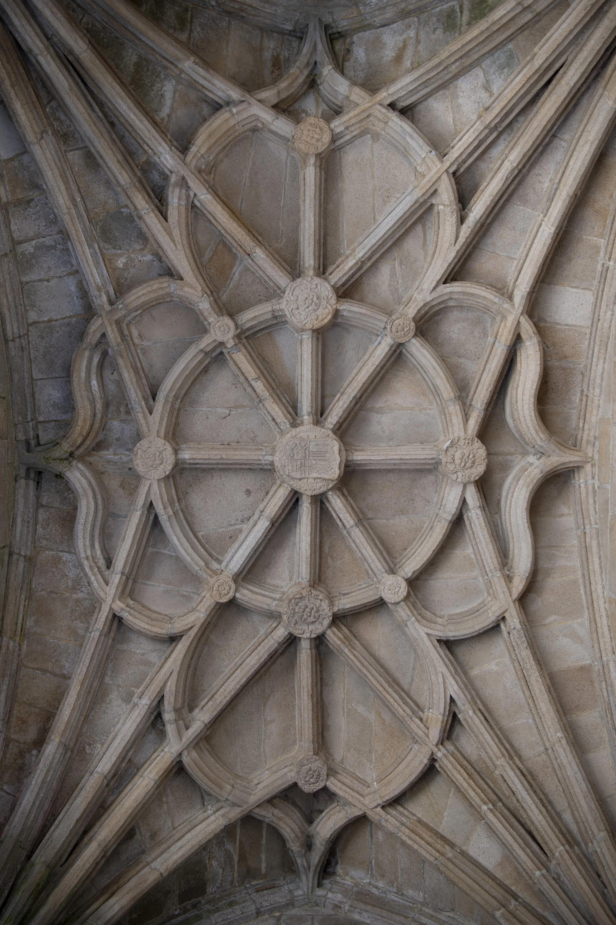 _DSC9666.jpg