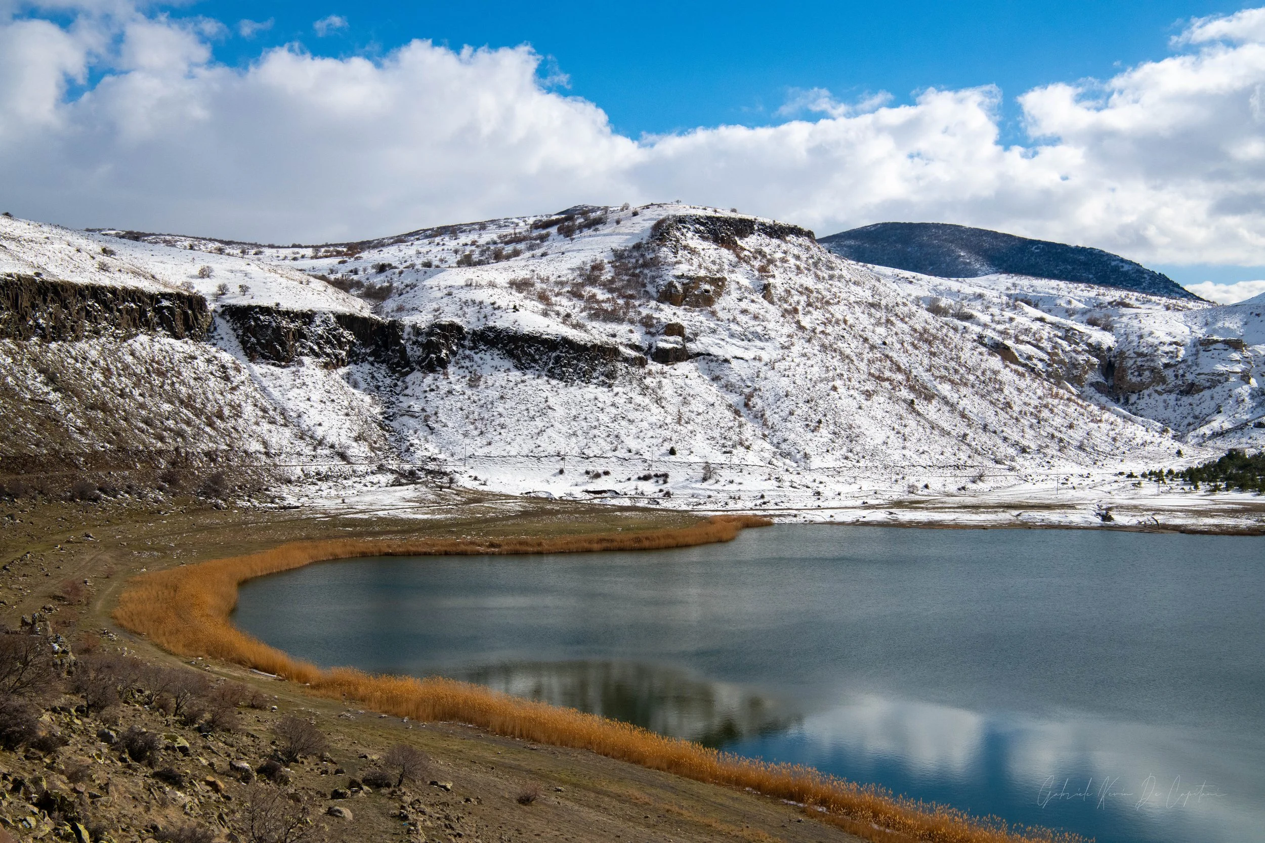 _DSC8290.jpg