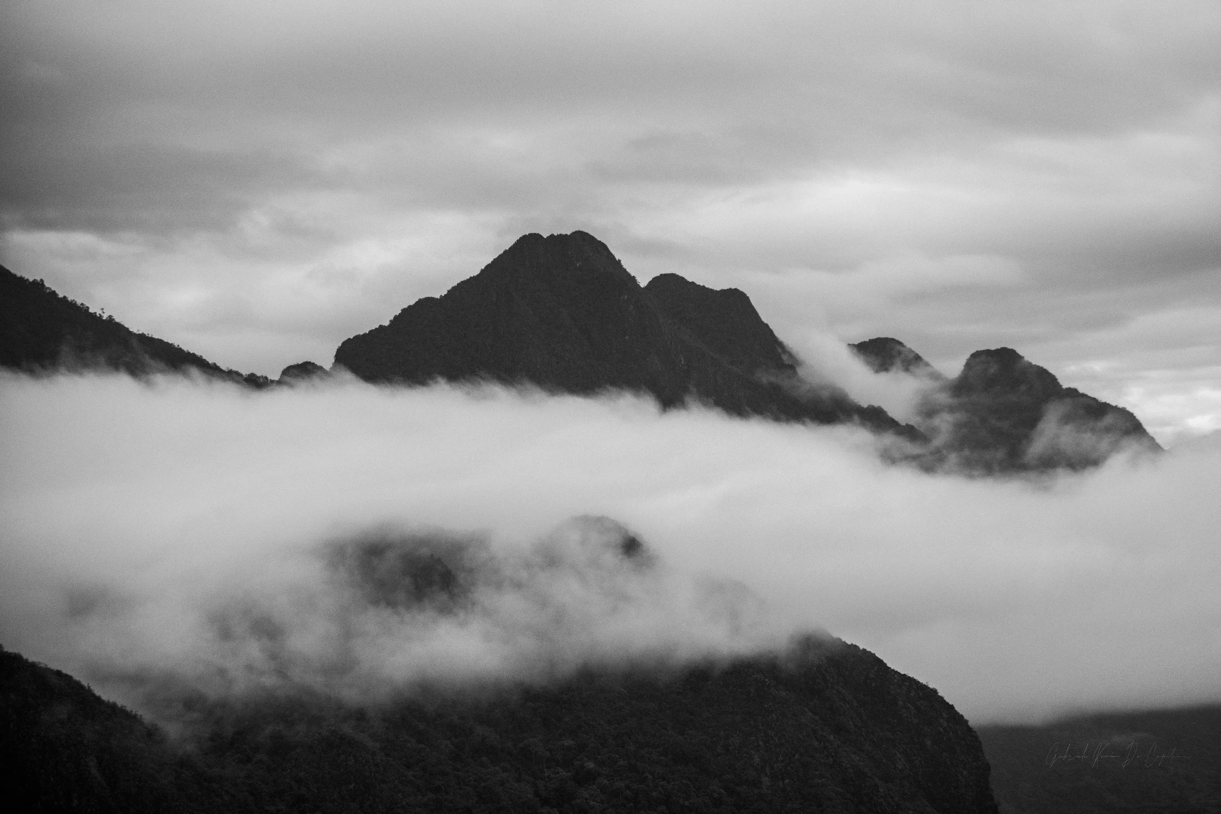 Untitled-66.jpg