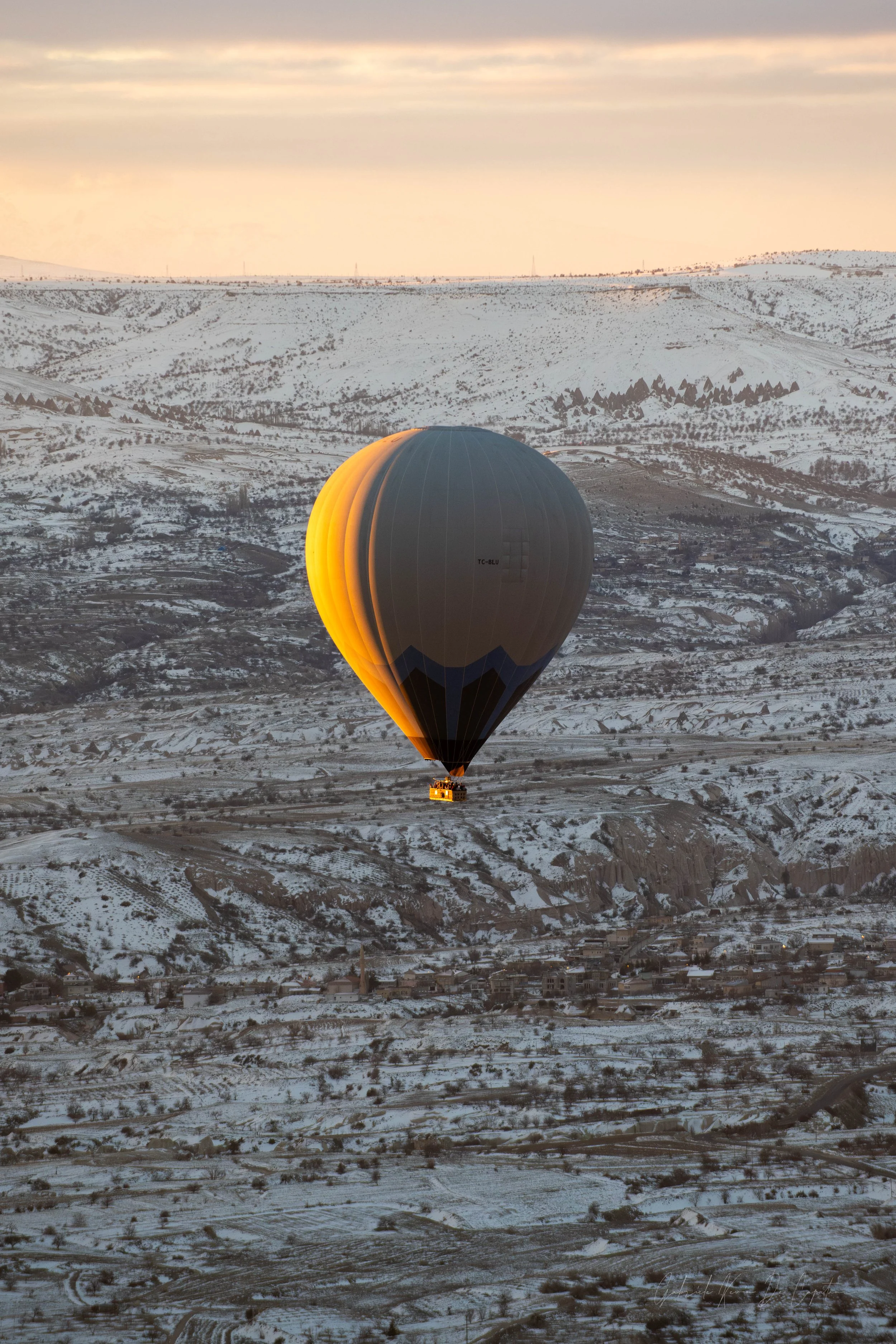 _DSC8553.jpg