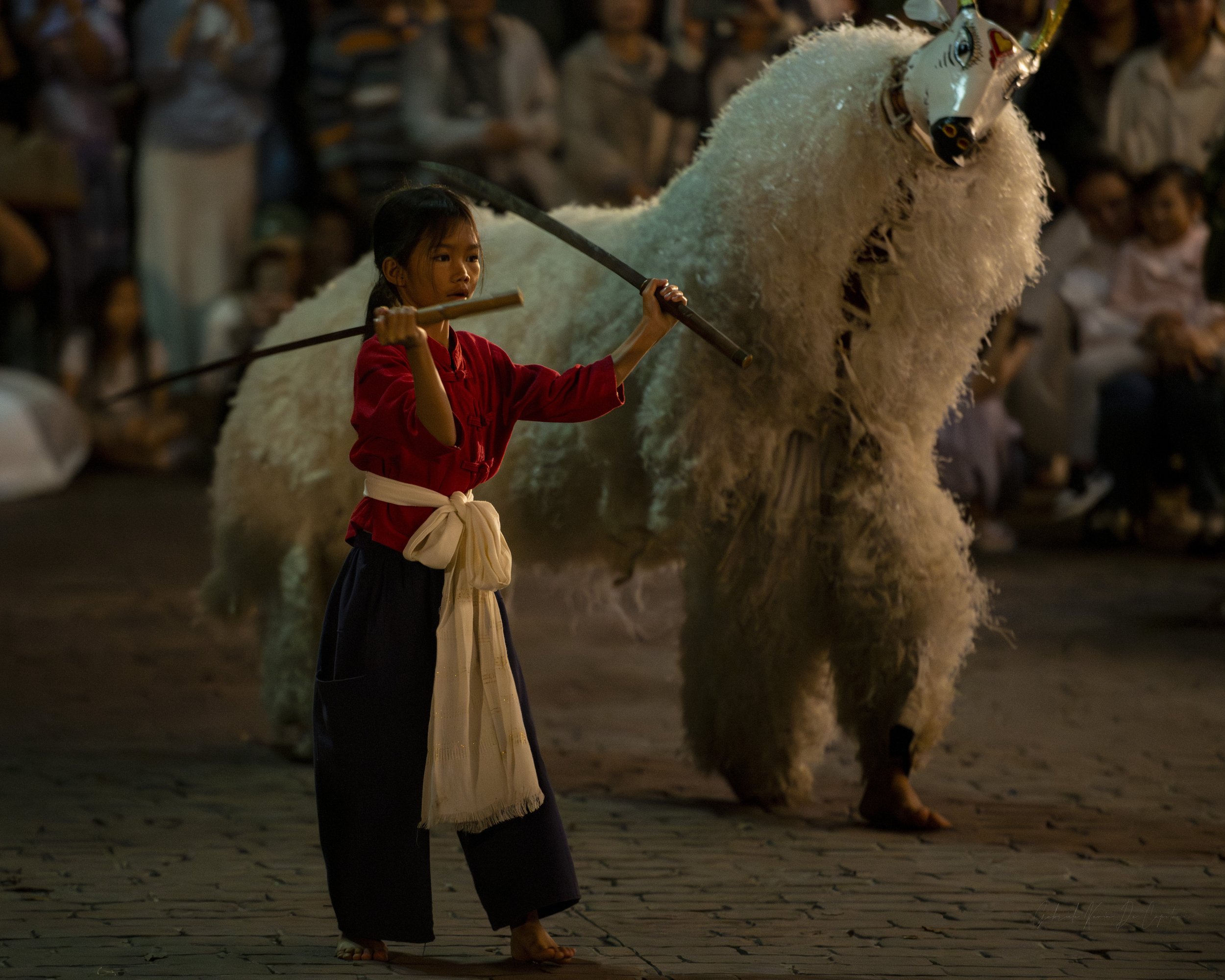 DSC_3287.jpg