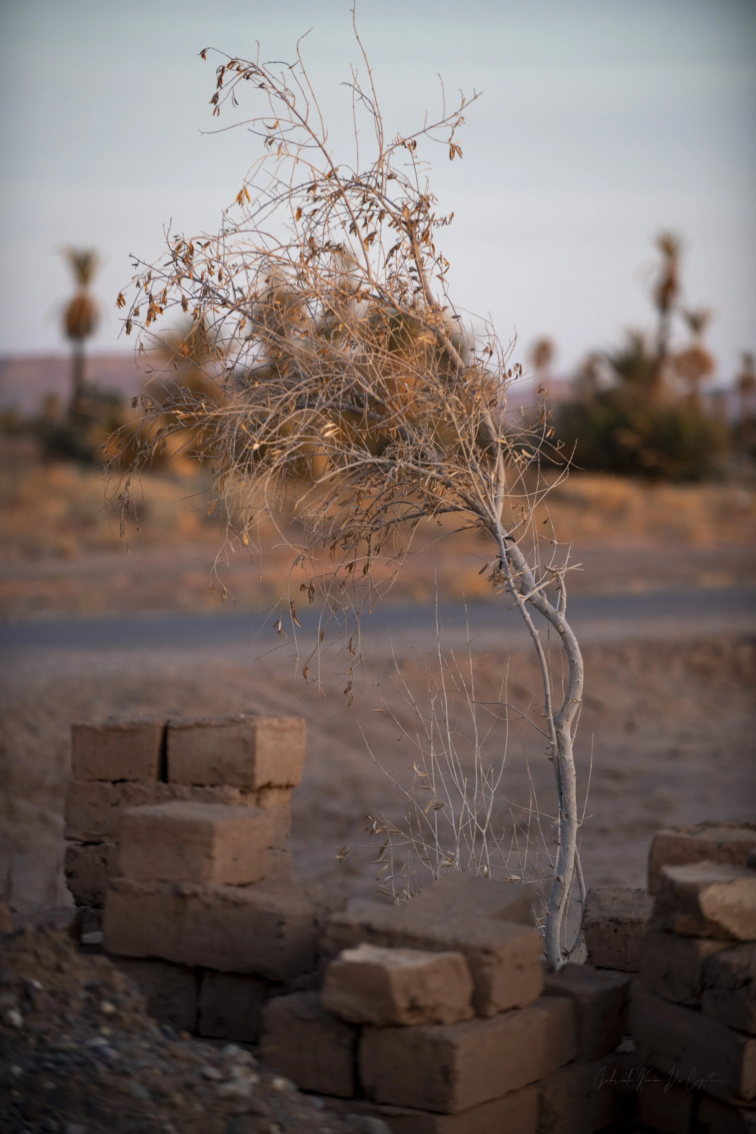 Untitled-38.jpg