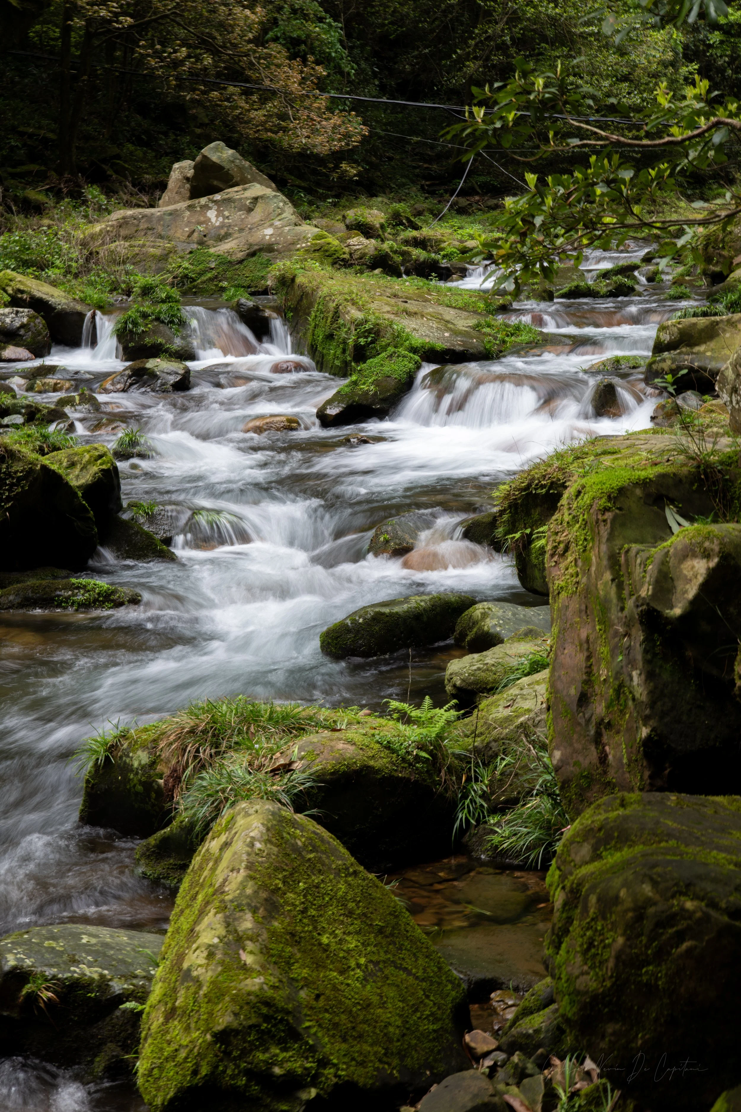 _DSC0606.jpg