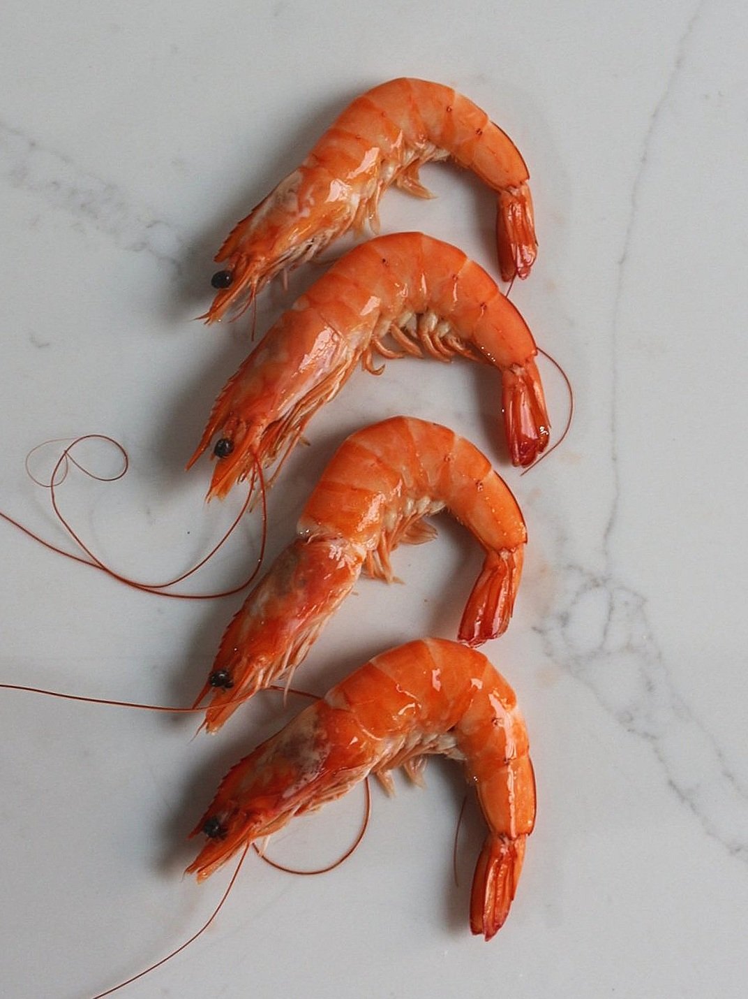Cooked Prawns