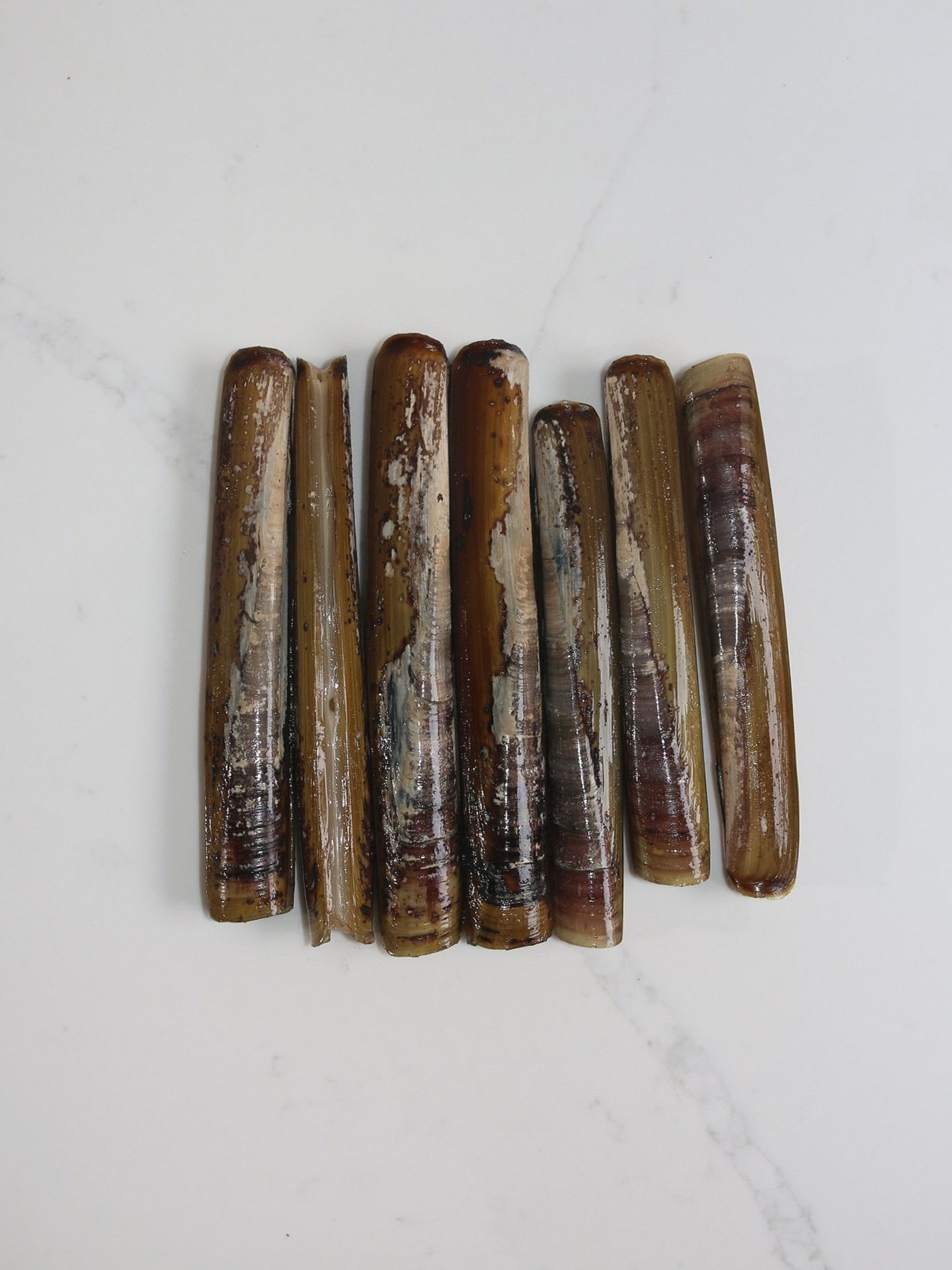 razor+clams+%284%29.jpg