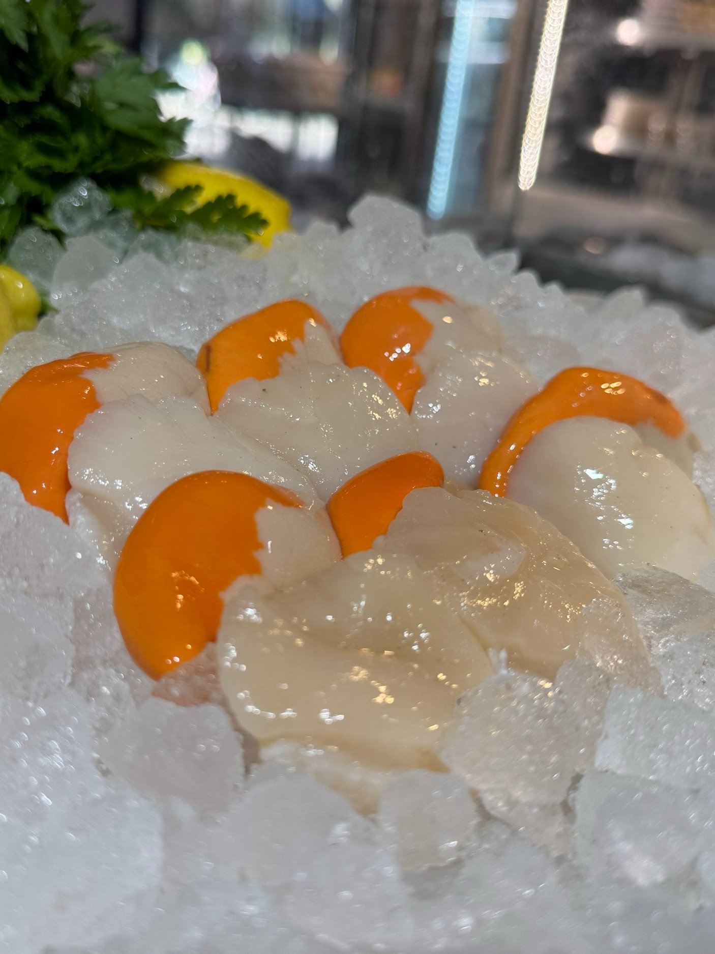 Scallops