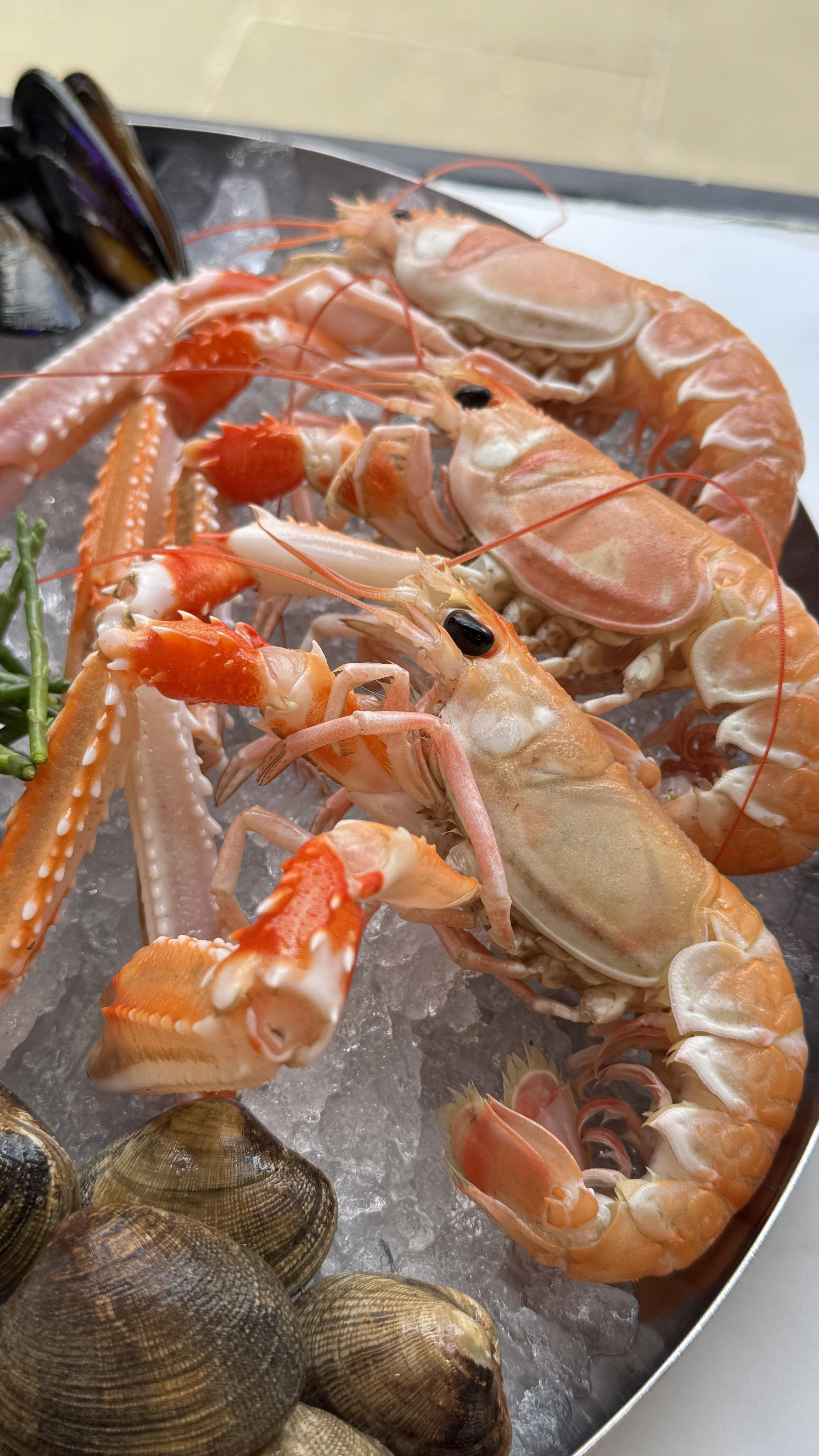Langoustine