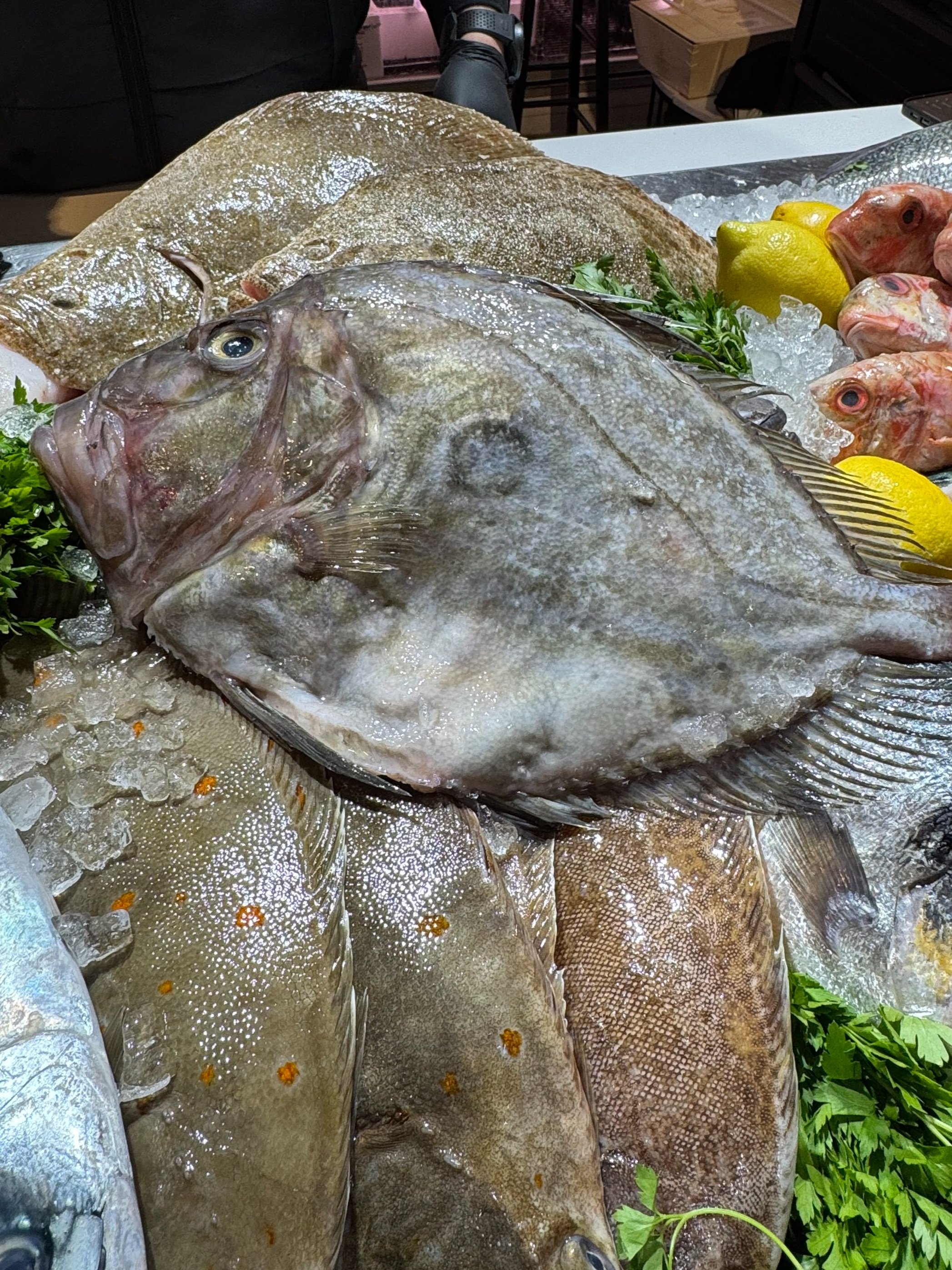 John Dory