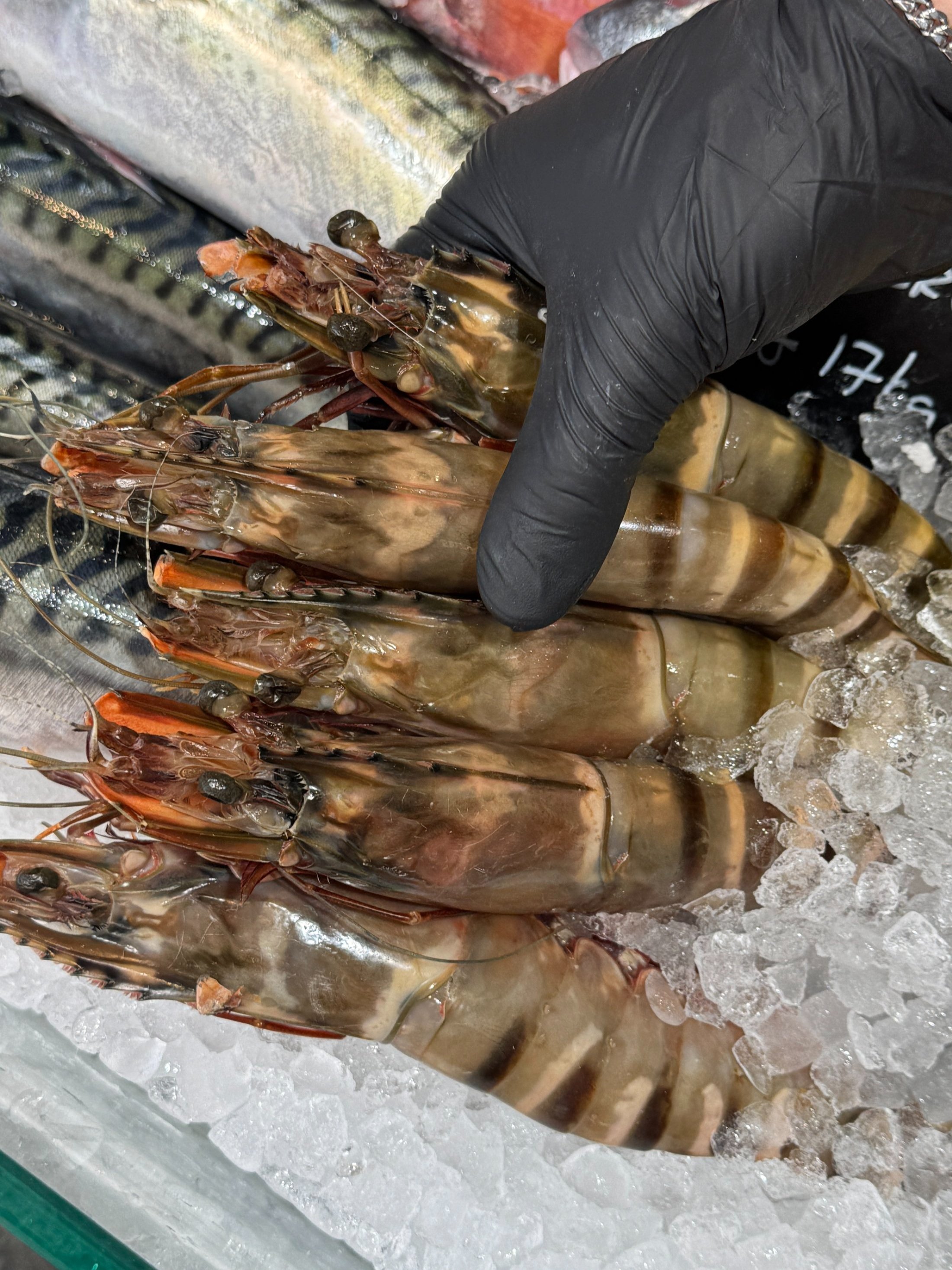 Wild Tiger Prawns