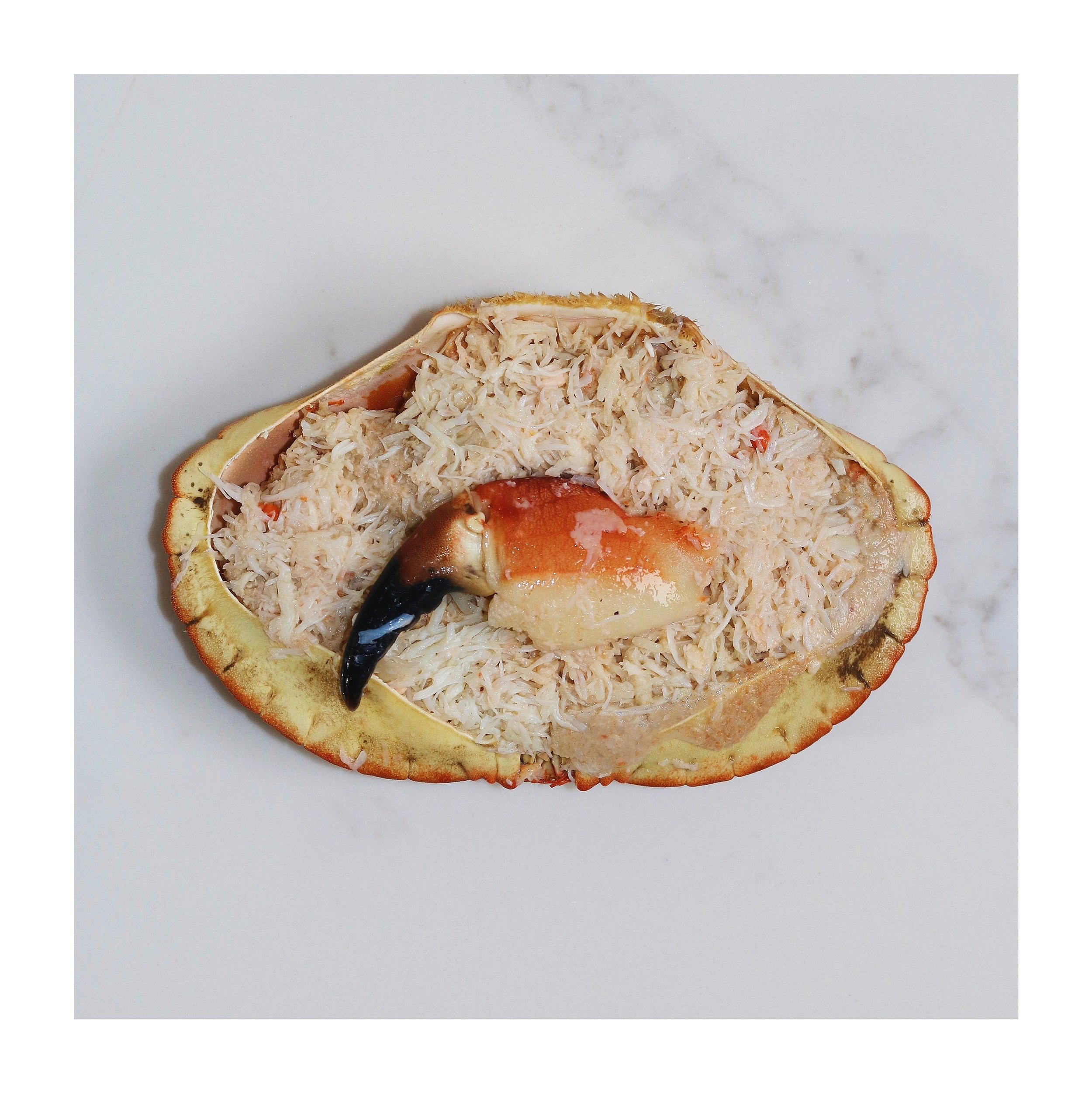 crab+meat+%282%29.jpg