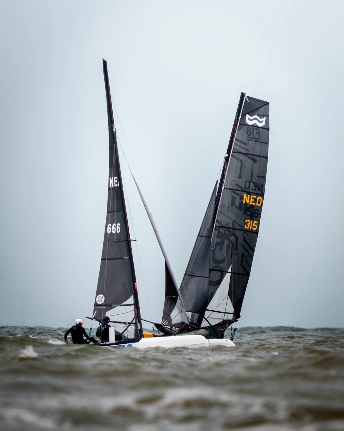 ZVN - Bries Open - Zeilboten v2 4-5 insta post.jpg