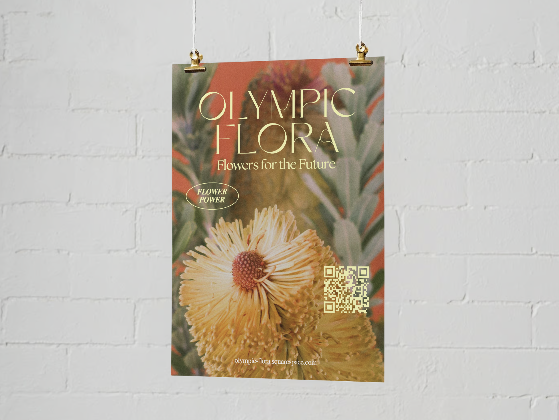 Screen Shot 2023-10-15 at 11.34.29 am.png