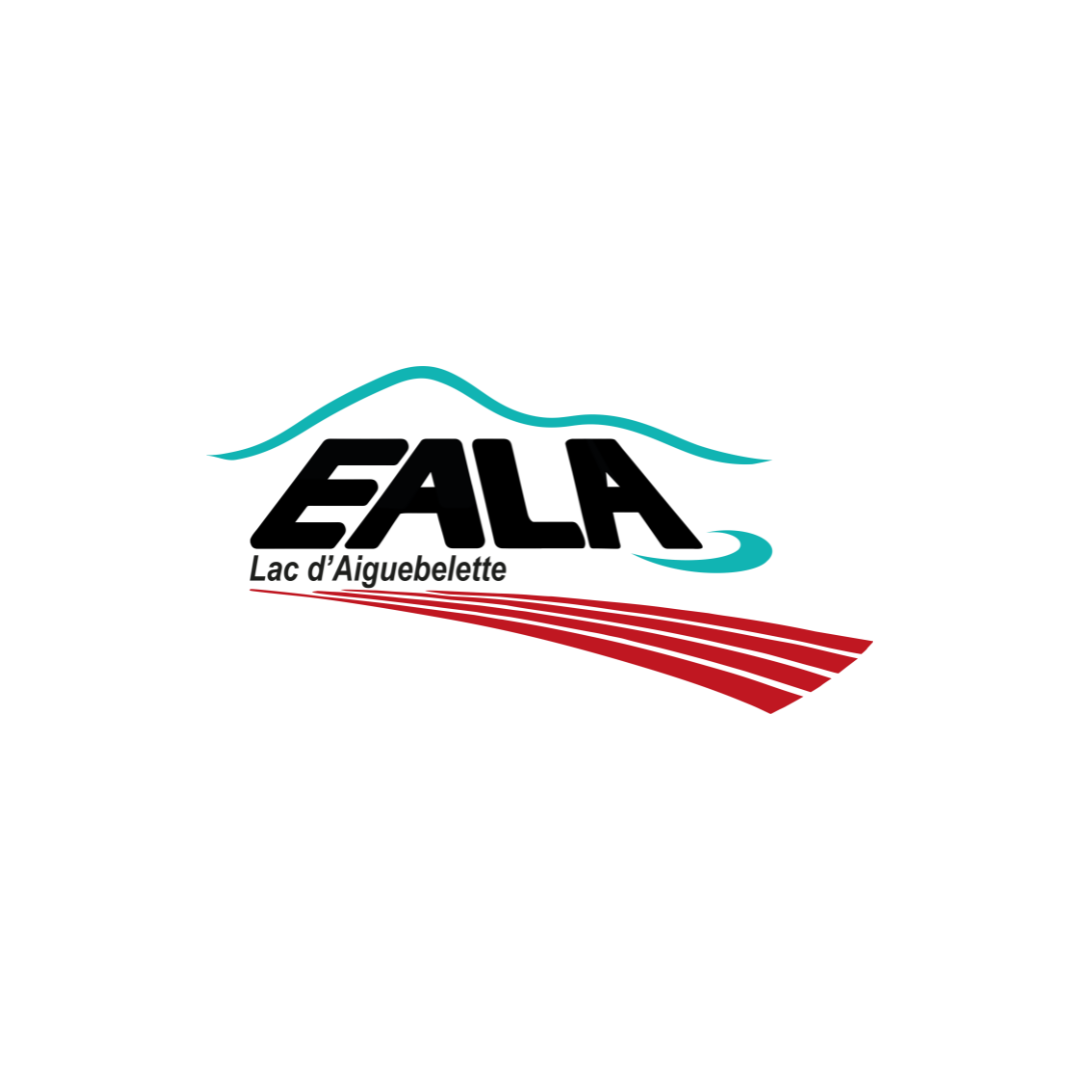 10.png