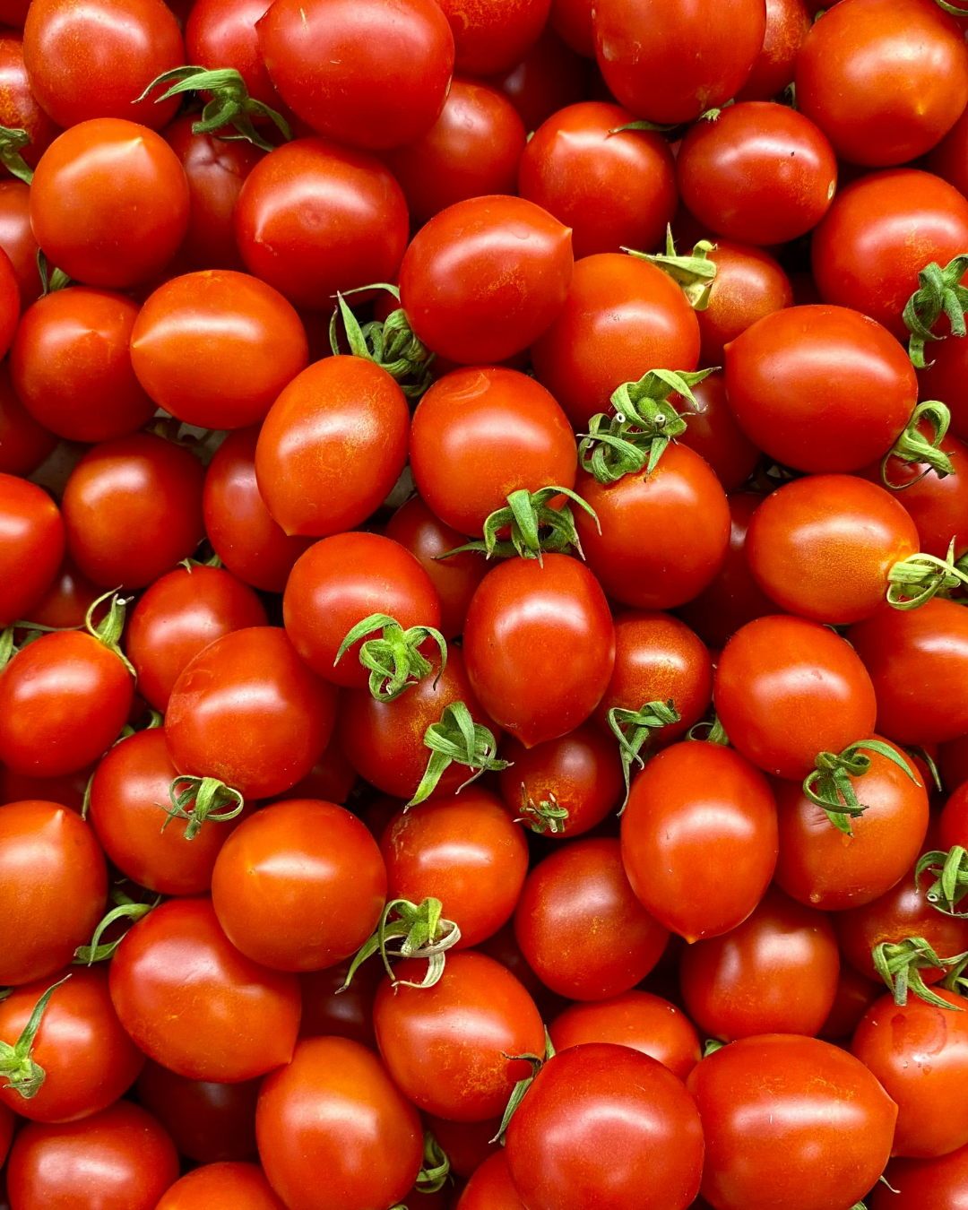 El tomate que no sabe a tomate