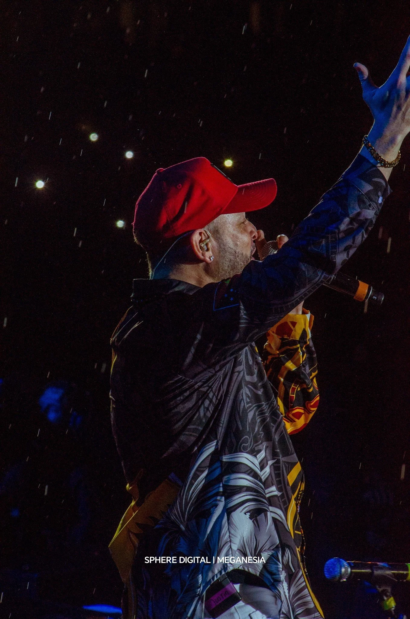 Meganesia7 PNG sep 2025.jpg