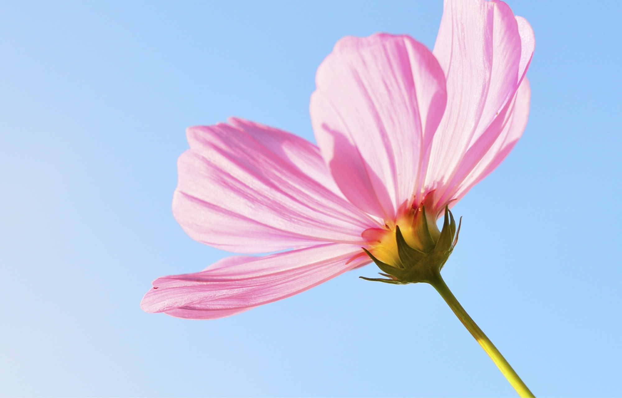 Bilder für Newsletter (297 x 190 mm).png
