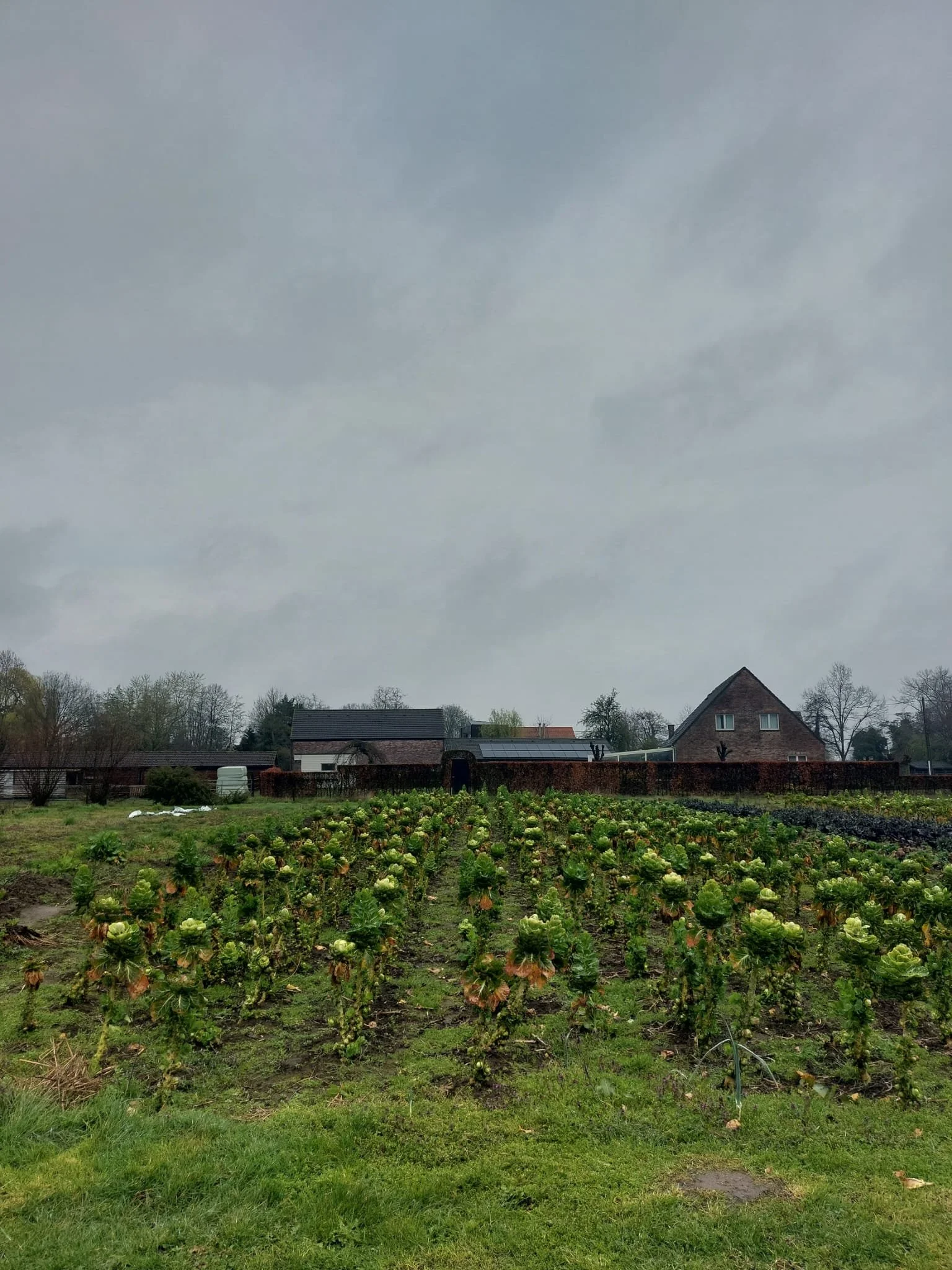 WhatsApp Image 2026-03-14 at 19.09.31.jpeg