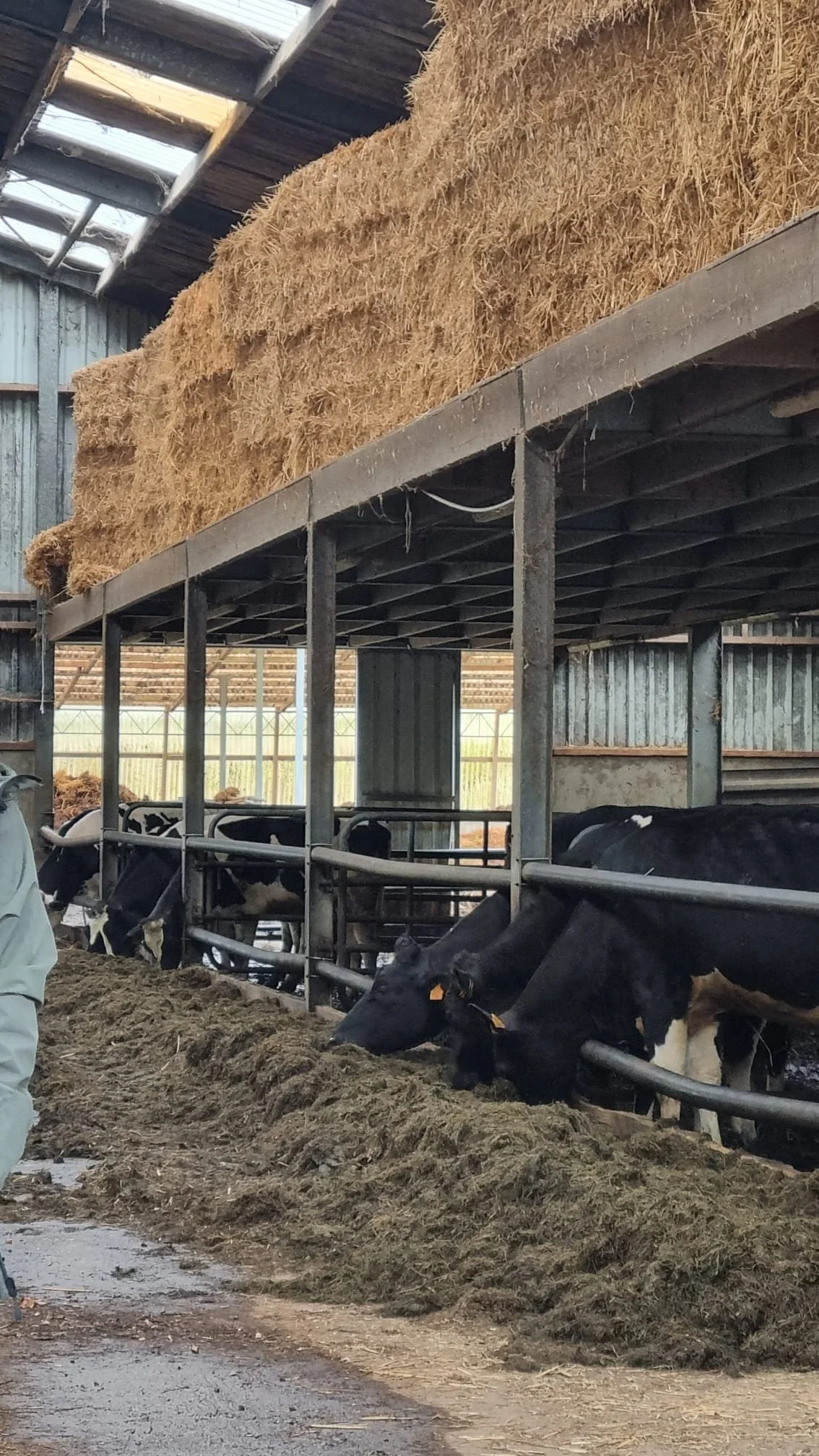 WhatsApp Image 2026-03-14 at 18.50.45.jpeg