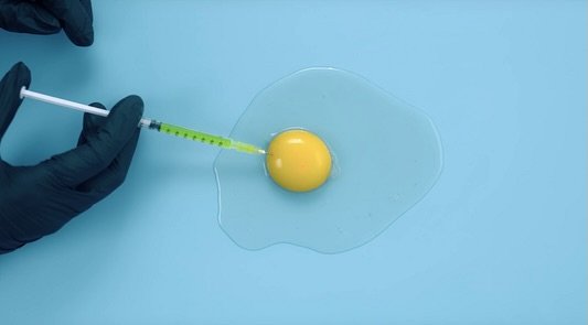 Julia Ducournau, Coralie Fargeat, Sasha Rainbow : le body horror au f&eacute;minin.

Alors que sort Grafted ce 5 novembre, retour sur une tendance forte : la r&eacute;invention, de Titane &agrave; The Substance en passant par Love Lies Bleeding, du b