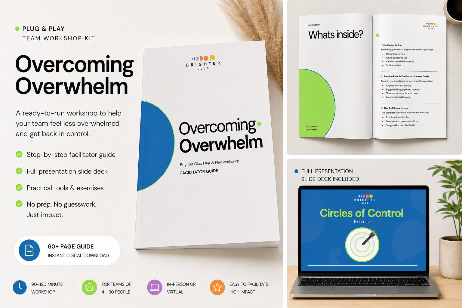 OVERCOMING OVERWHELM STORE PAGE.png